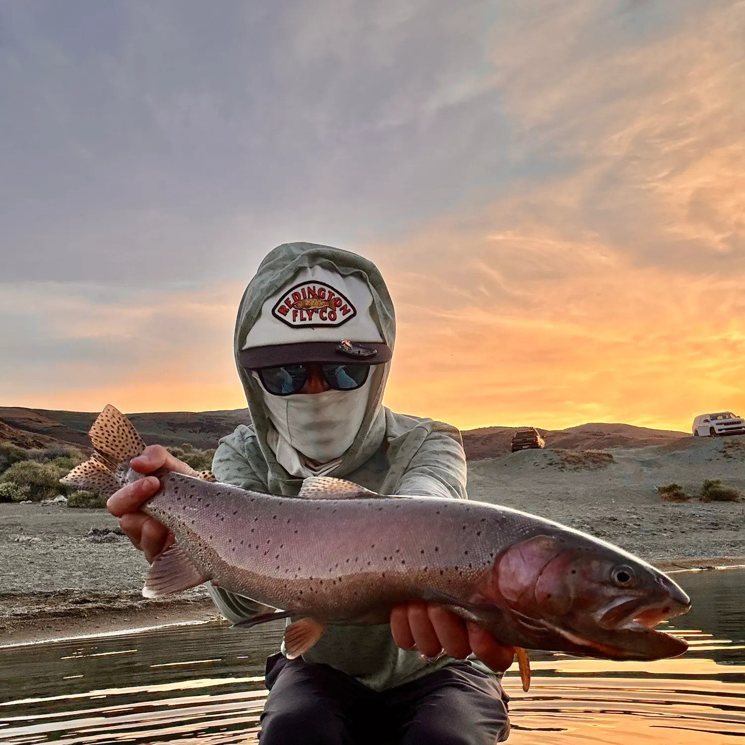 The most recent Lahontan cutthroat trout catches on Fishbrain