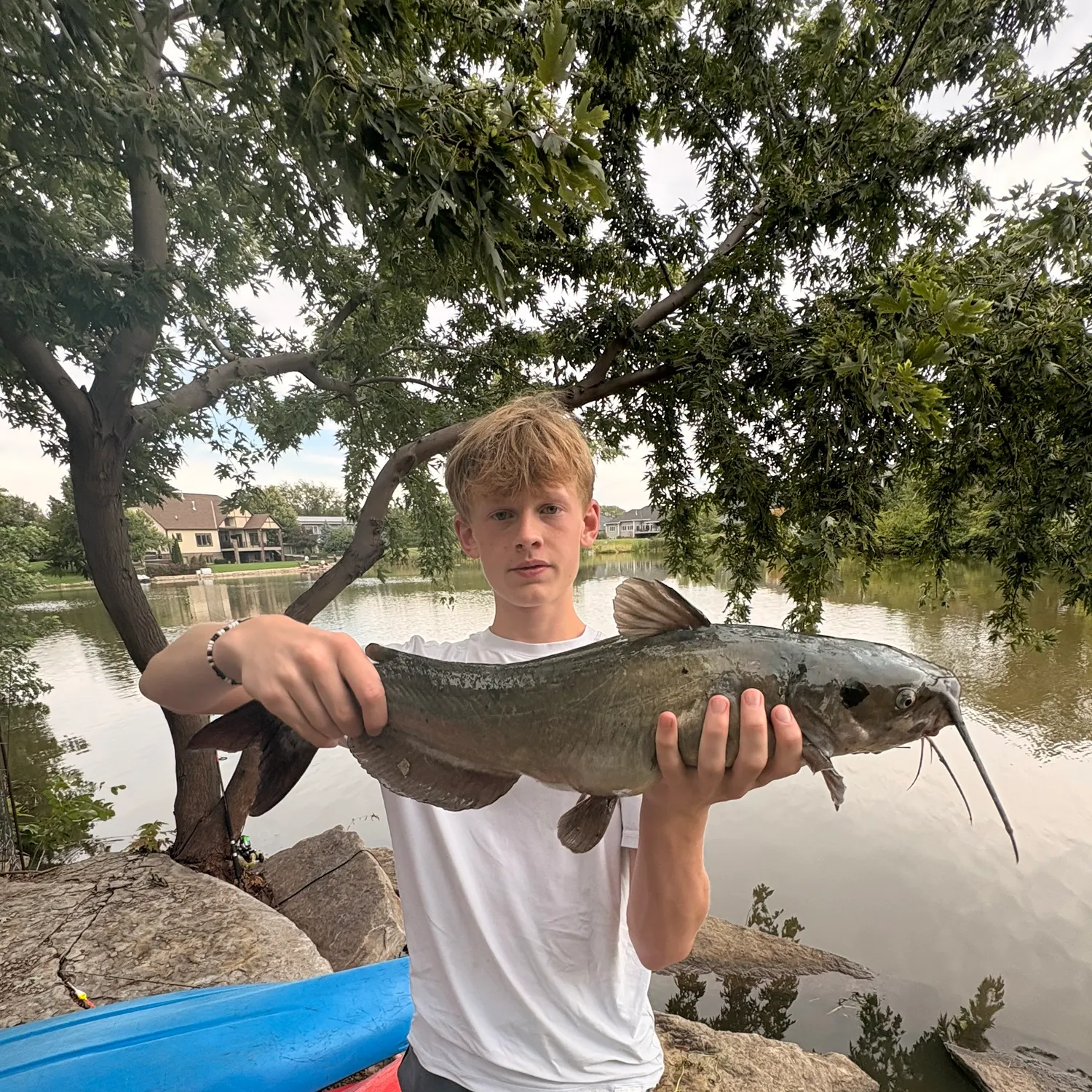Channel catfish caught on Fishbrain