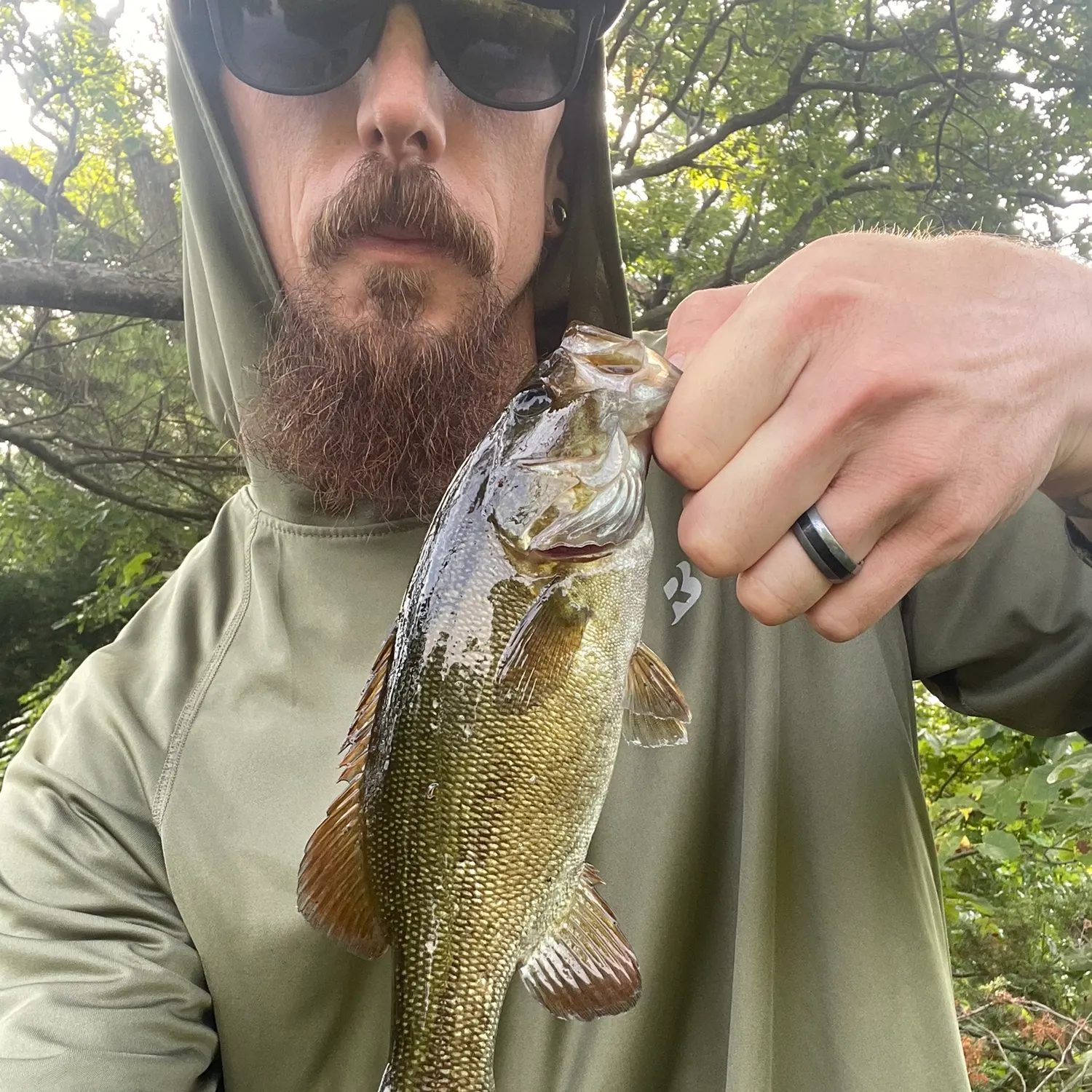 Smallmouth bass caught on Fishbrain