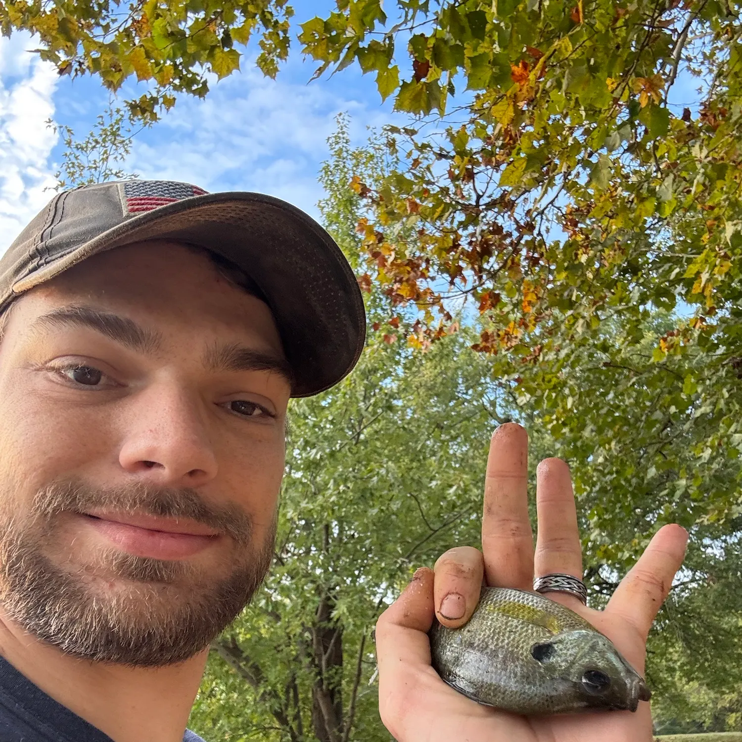 Bluegill caught on Fishbrain