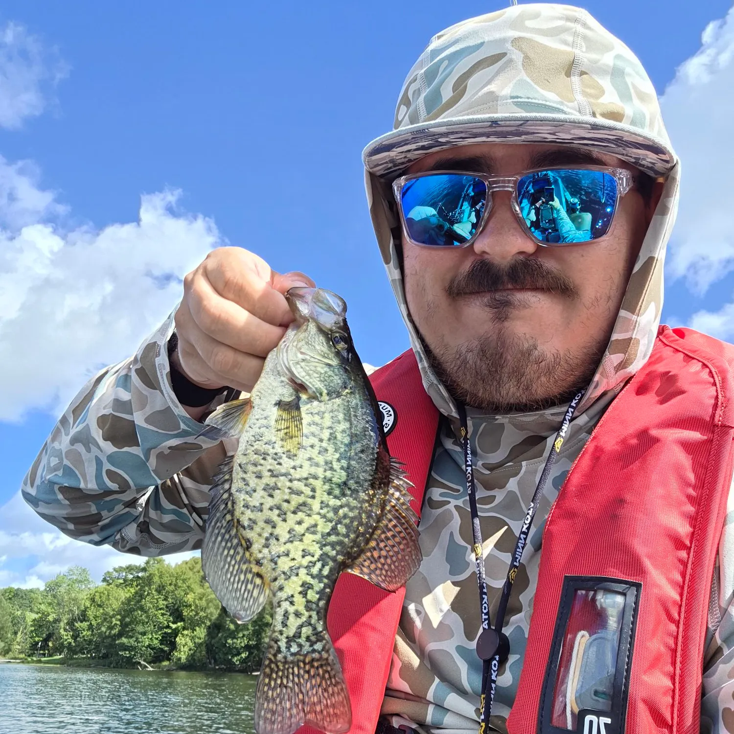 Black crappie caught on Fishbrain