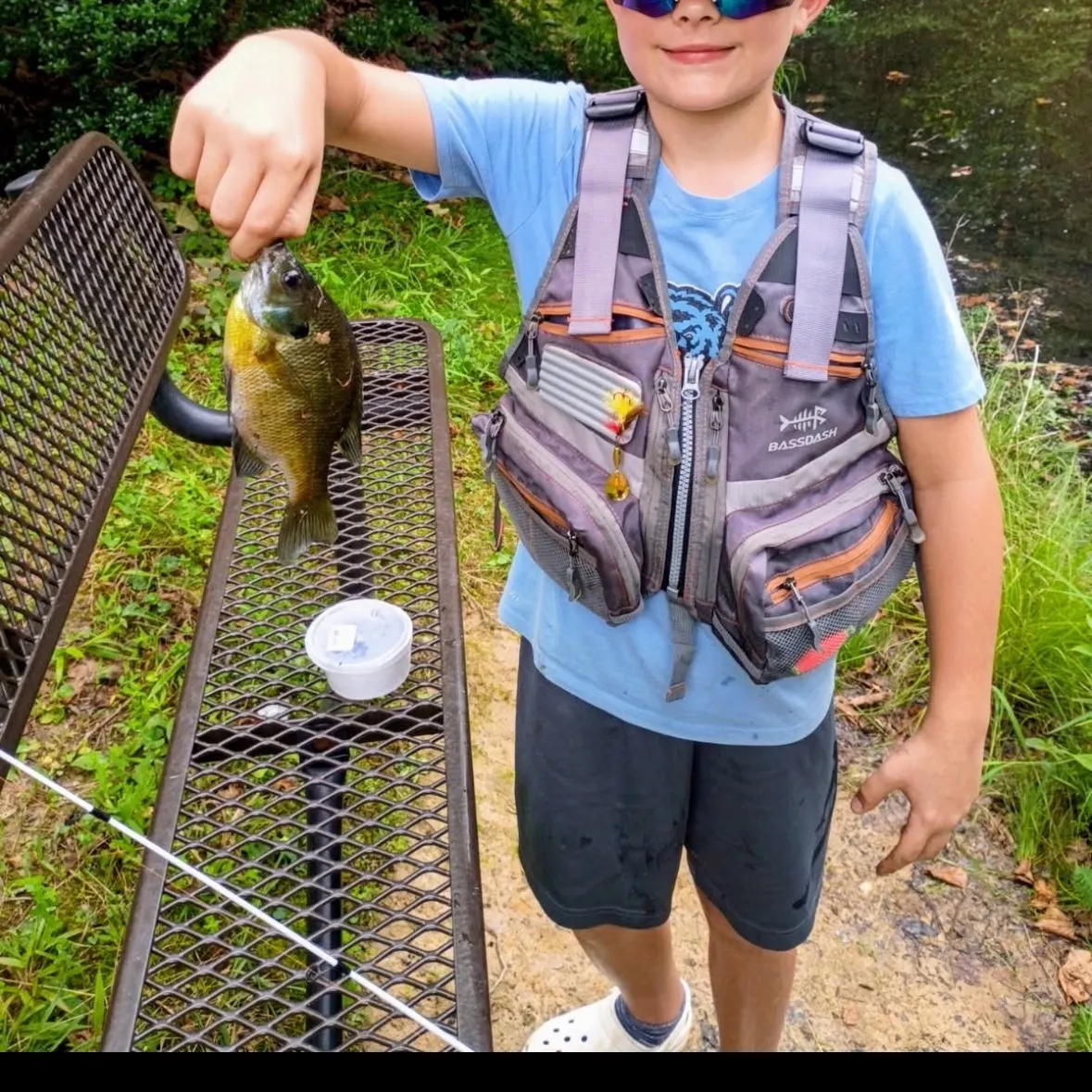 Bluegill caught on Fishbrain