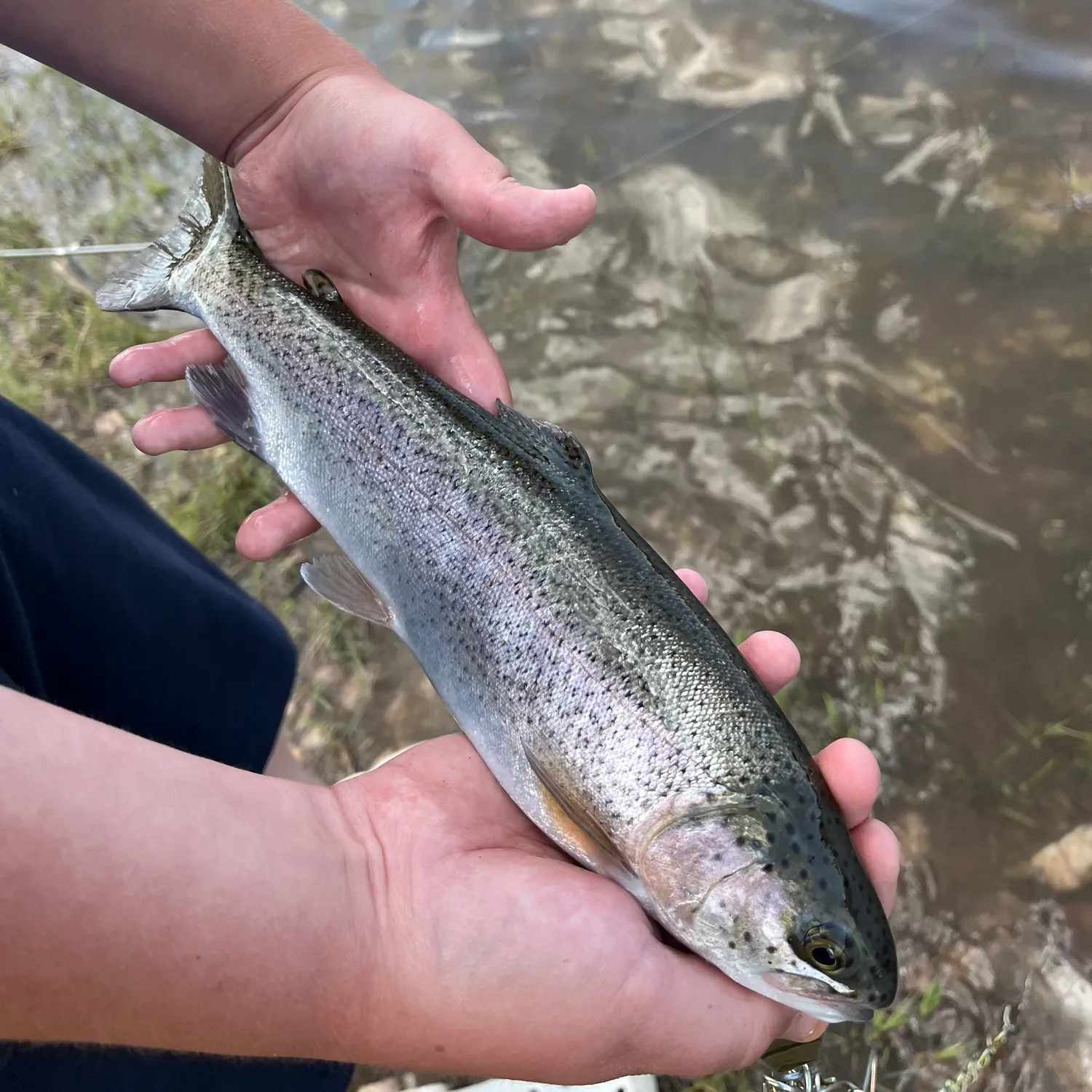 angler catch