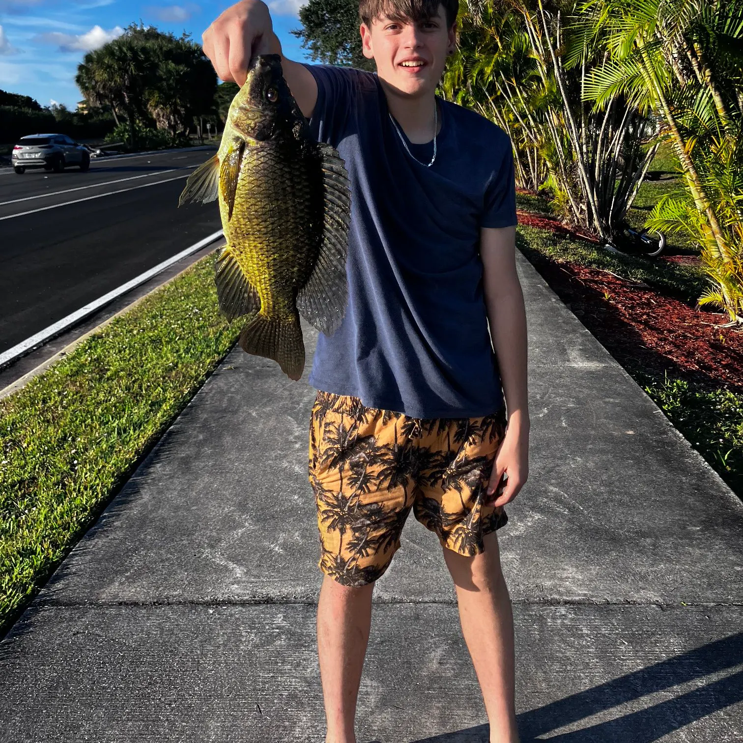 The most recent Nile tilapia catches on Fishbrain