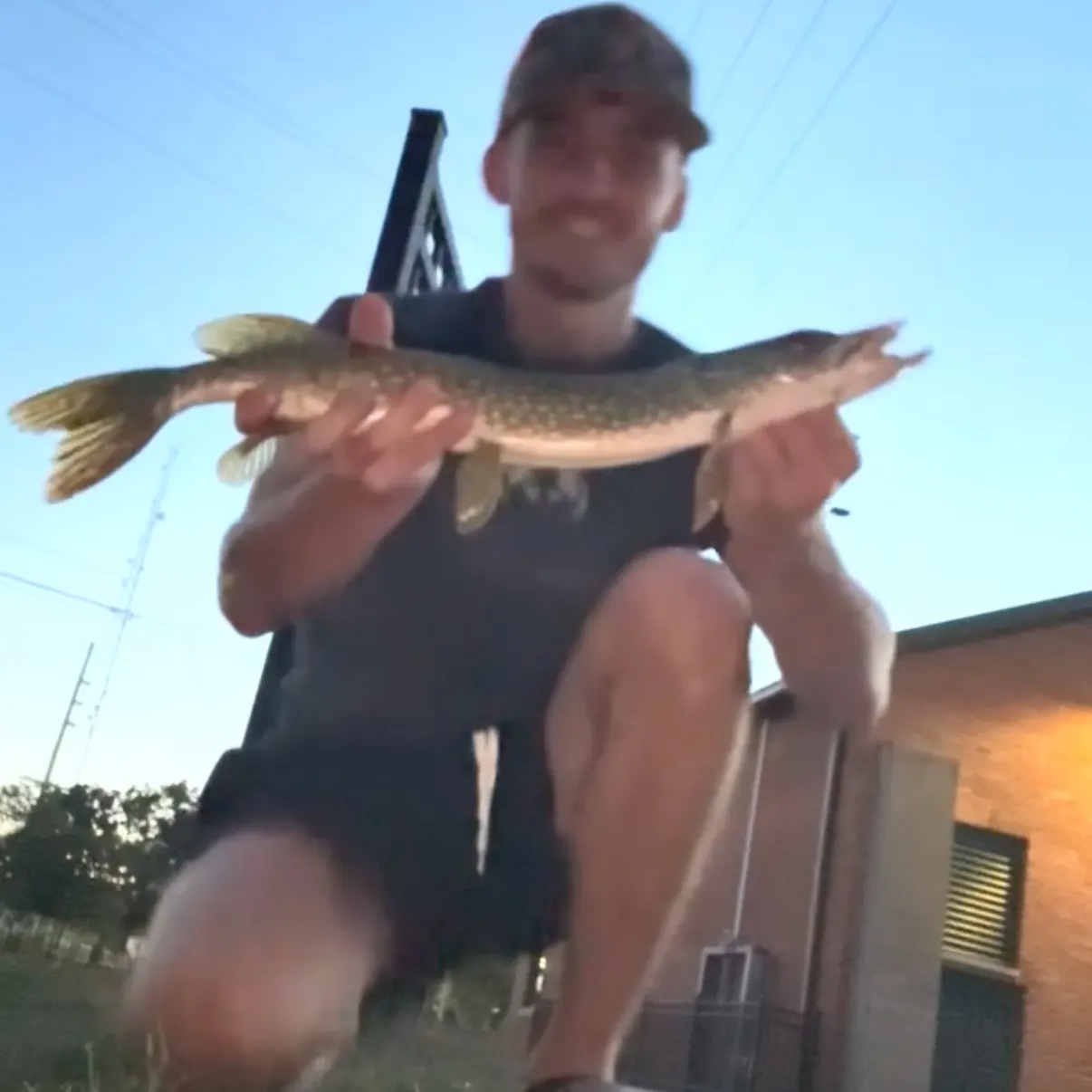 Northern pike caught on Fishbrain
