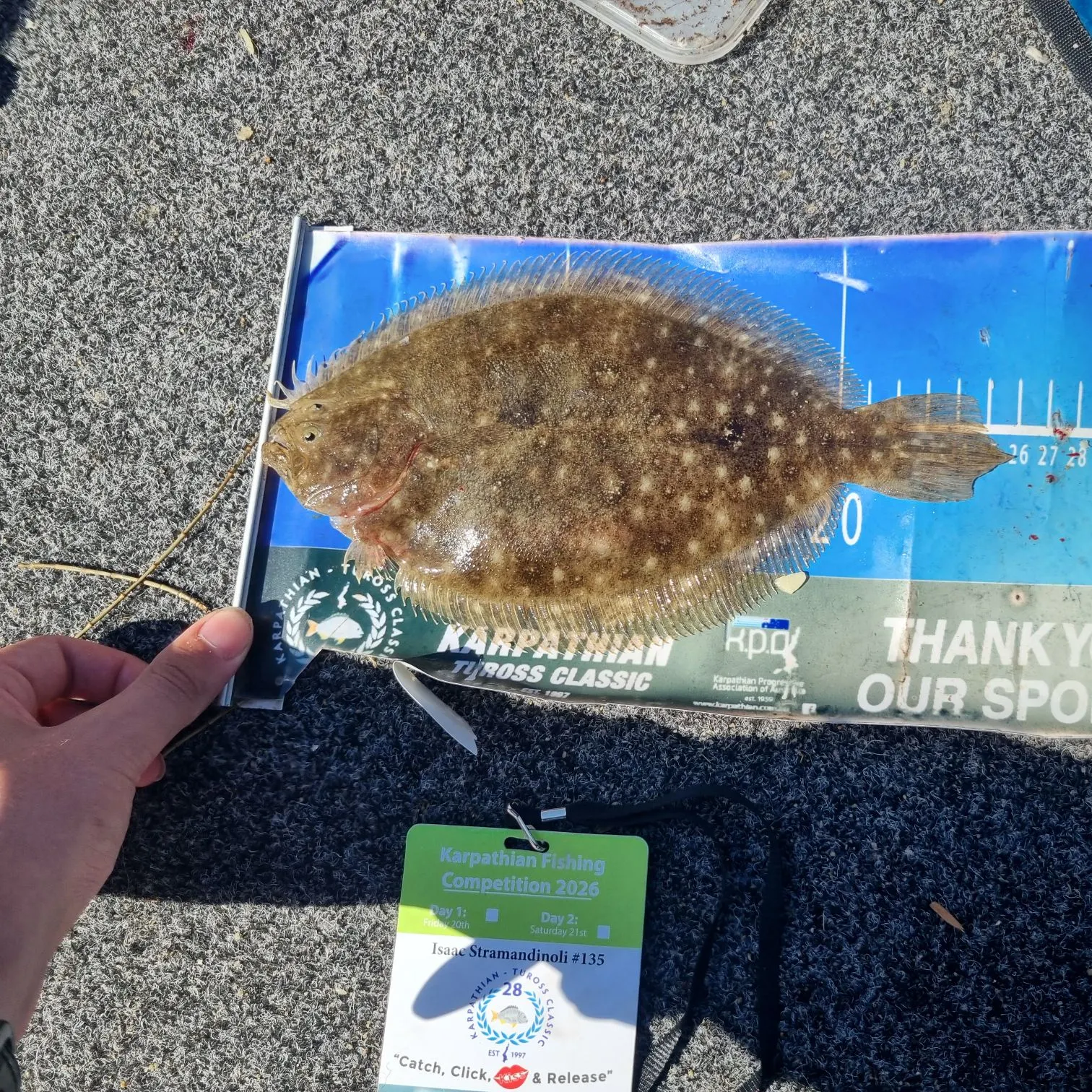 recently logged catches