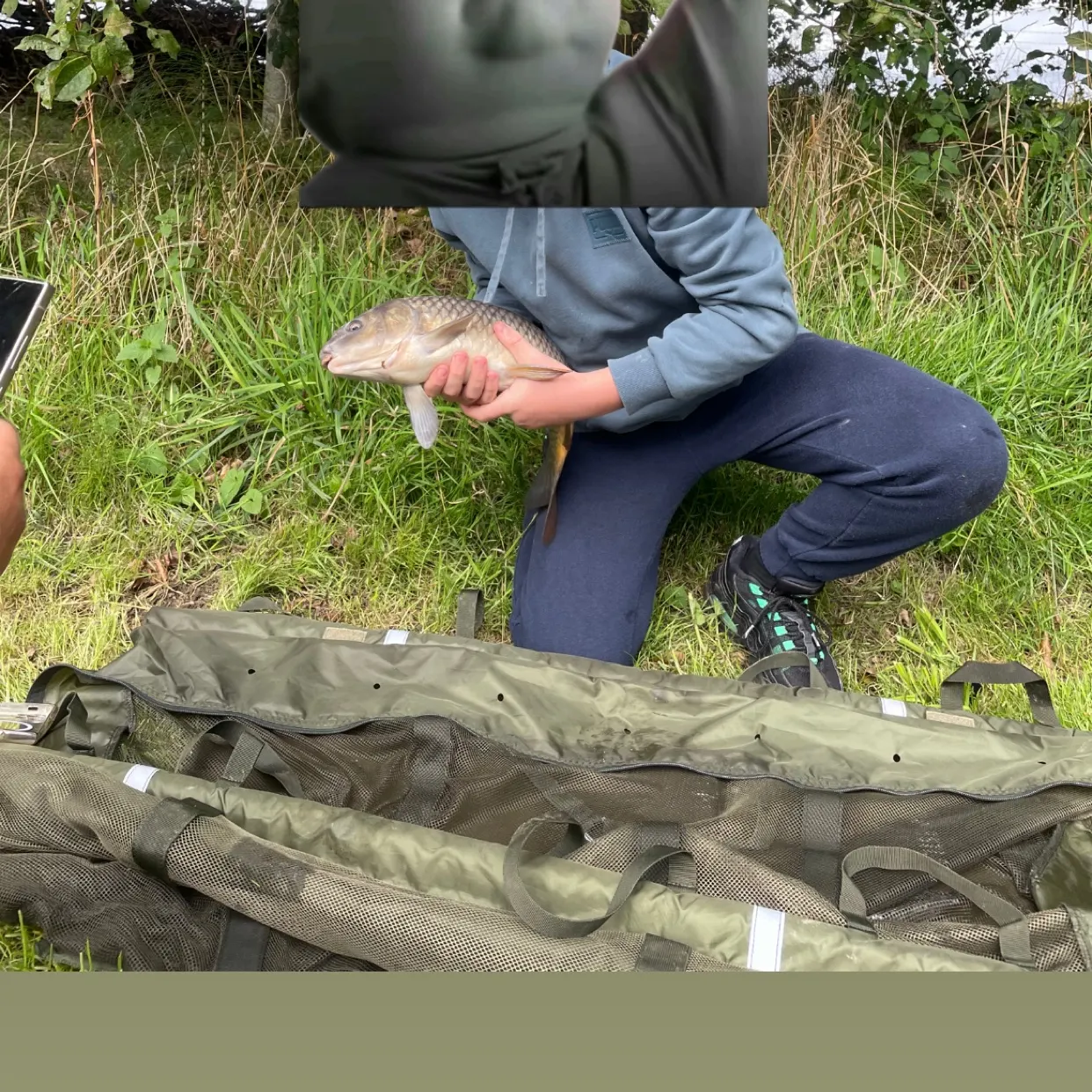 Common carp caught on Fishbrain