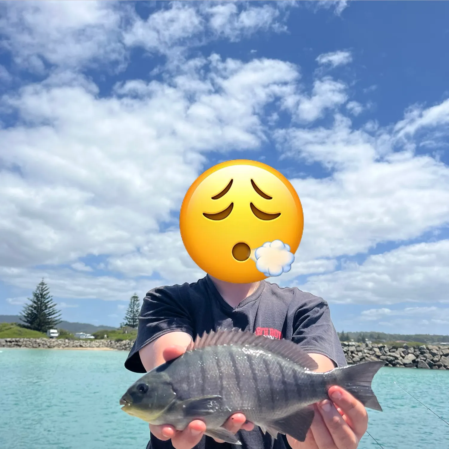 The most recent Luderick catches on Fishbrain