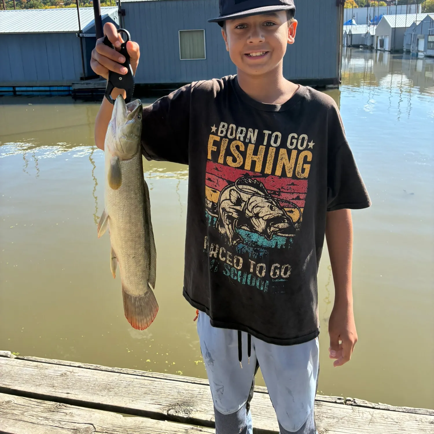 Eyetail bowfin caught on Fishbrain