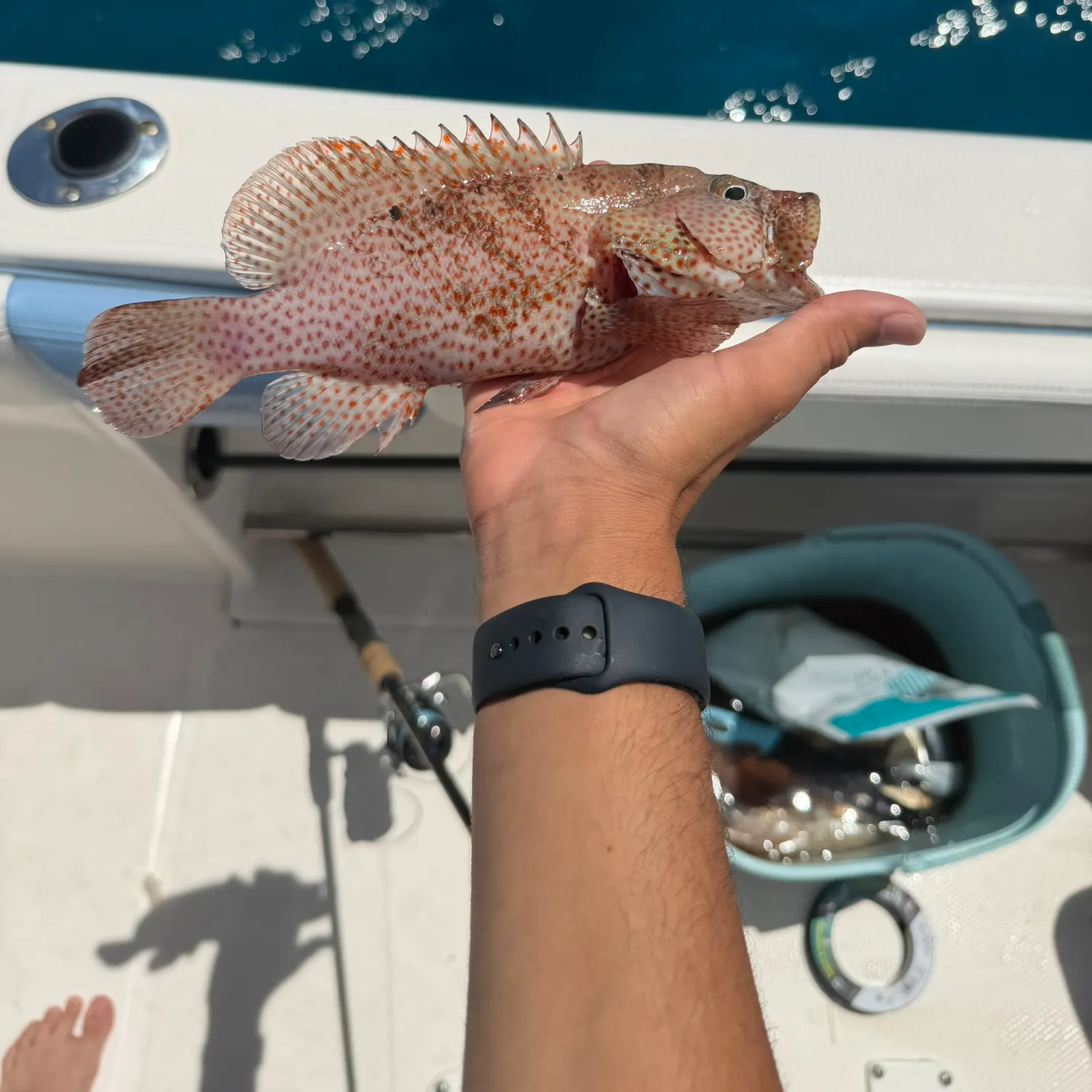 catch