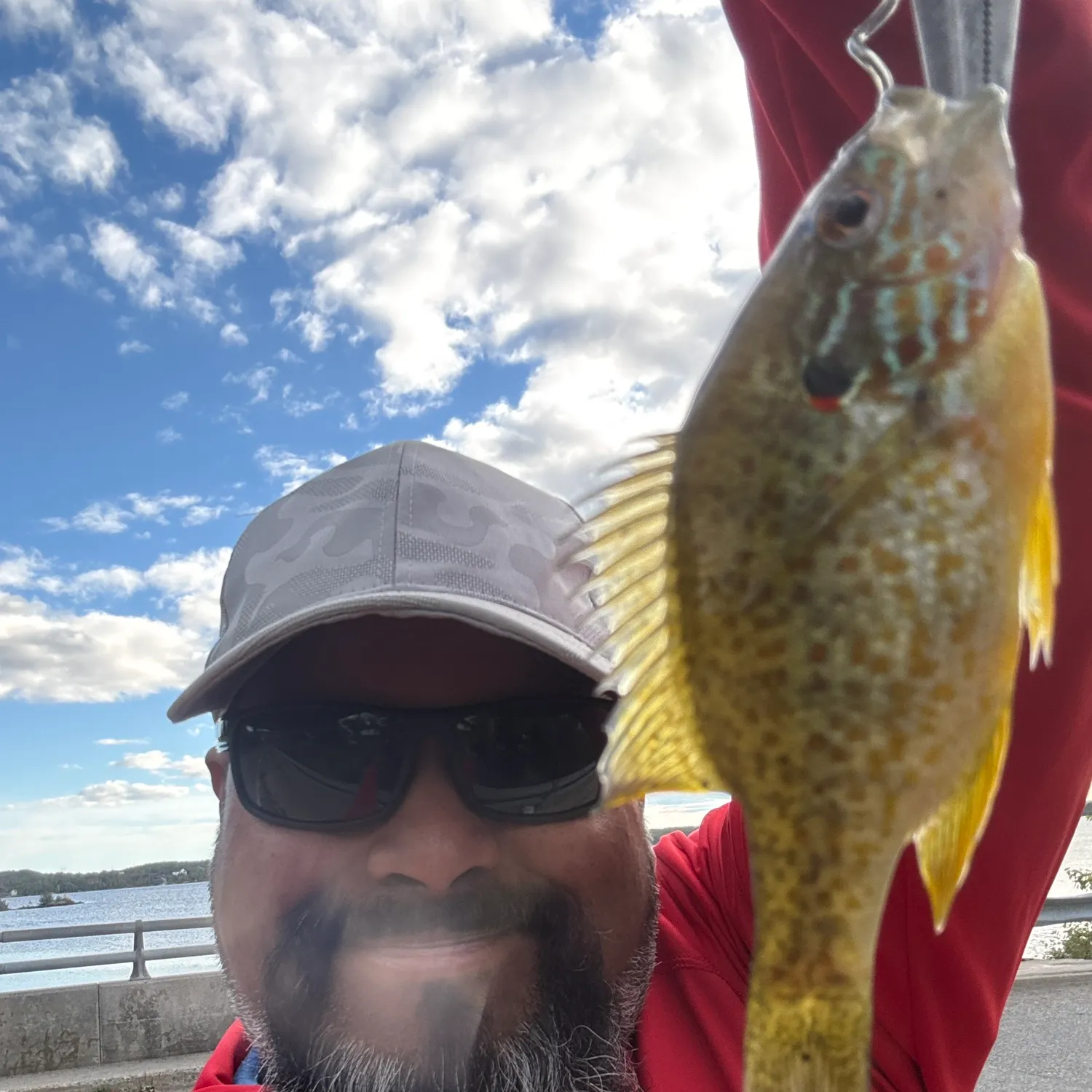 Pumpkinseed caught on Fishbrain