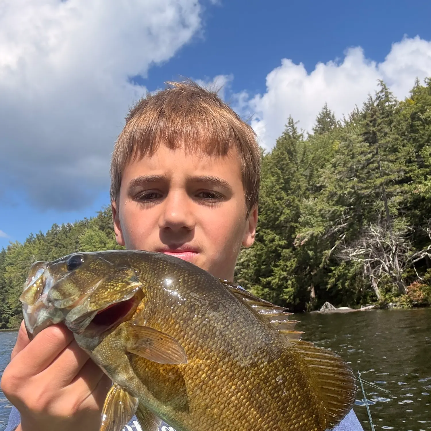 Smallmouth bass caught on Fishbrain