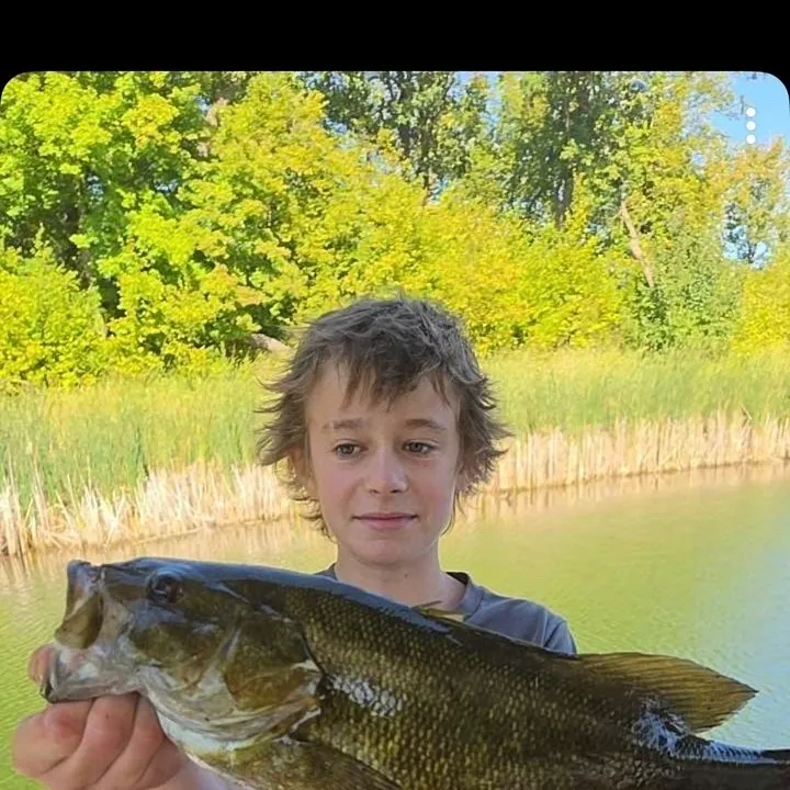 Smallmouth bass caught on Fishbrain