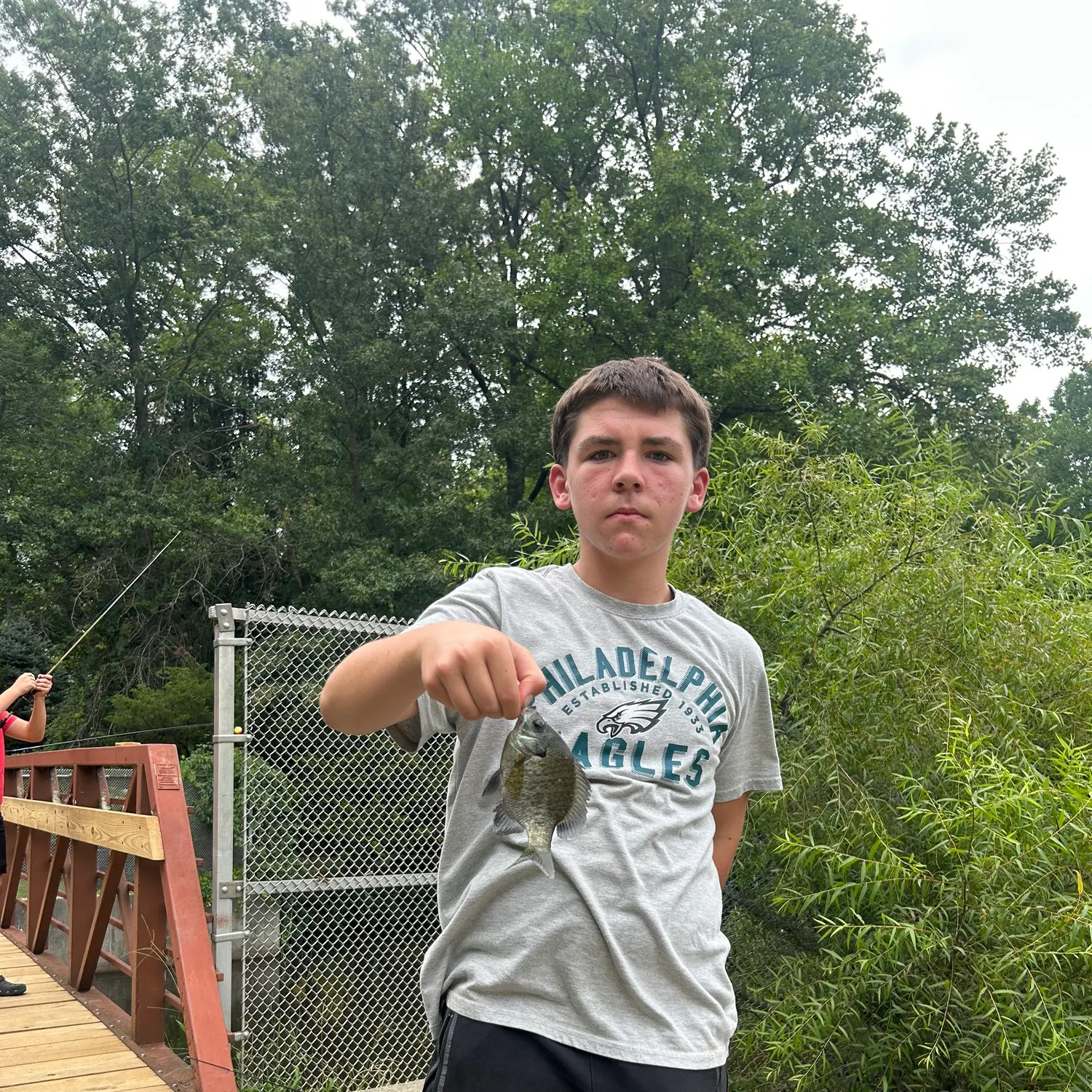 Bluegill caught on Fishbrain