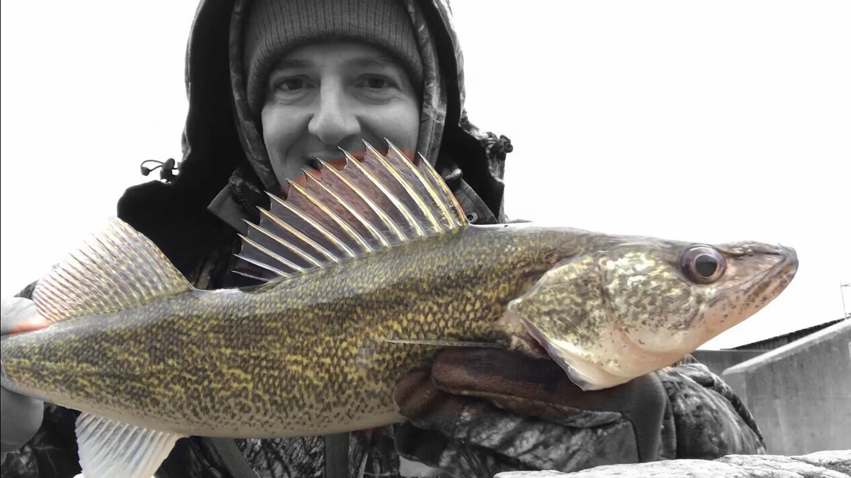 Post image from dude_fisherman