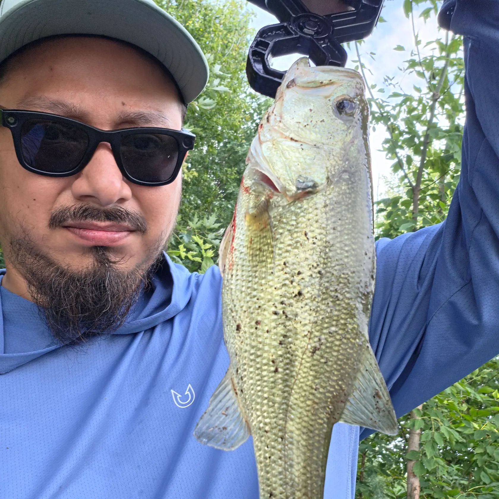Largemouth bass caught on Fishbrain