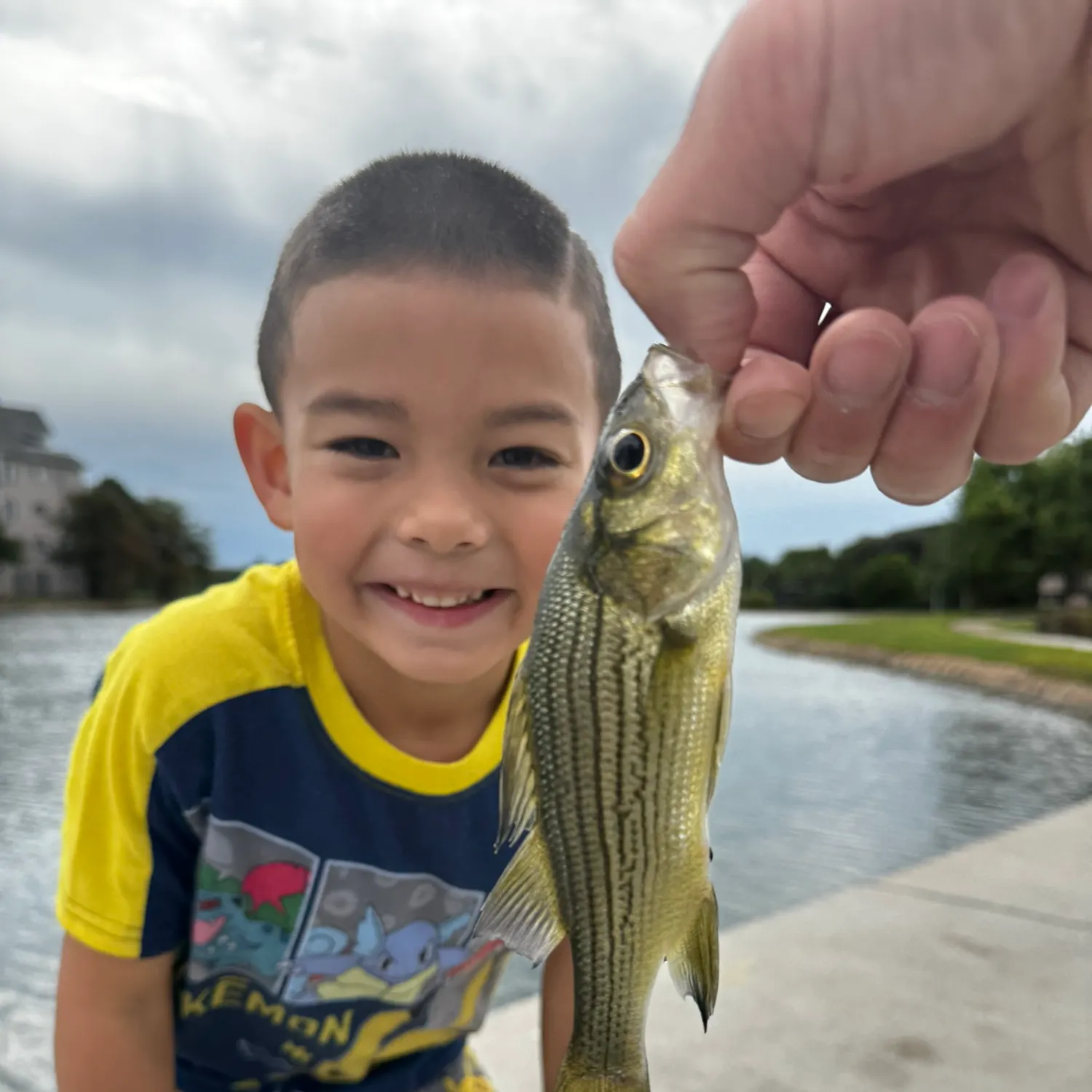 White bass caught on Fishbrain