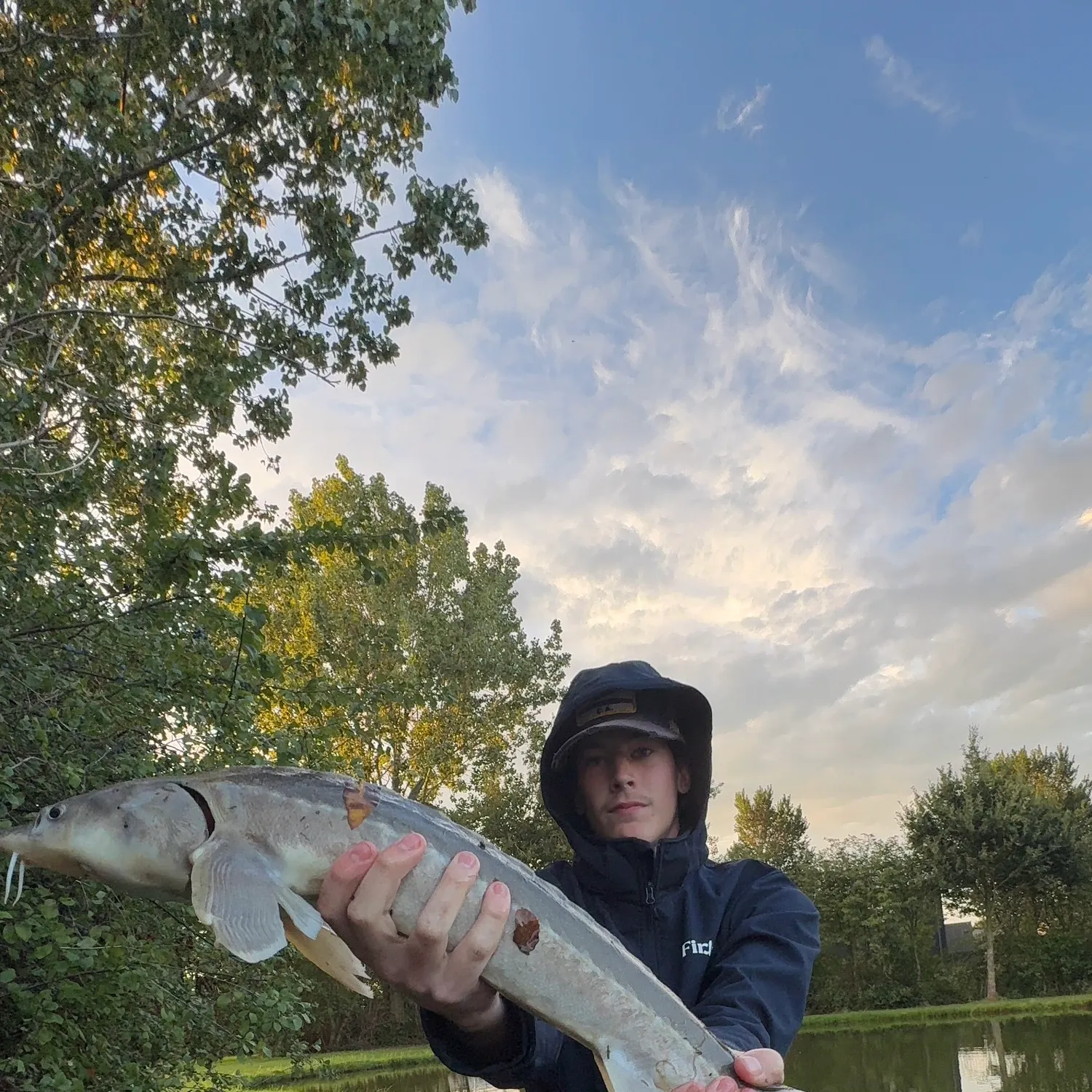 Sterlet caught on Fishbrain