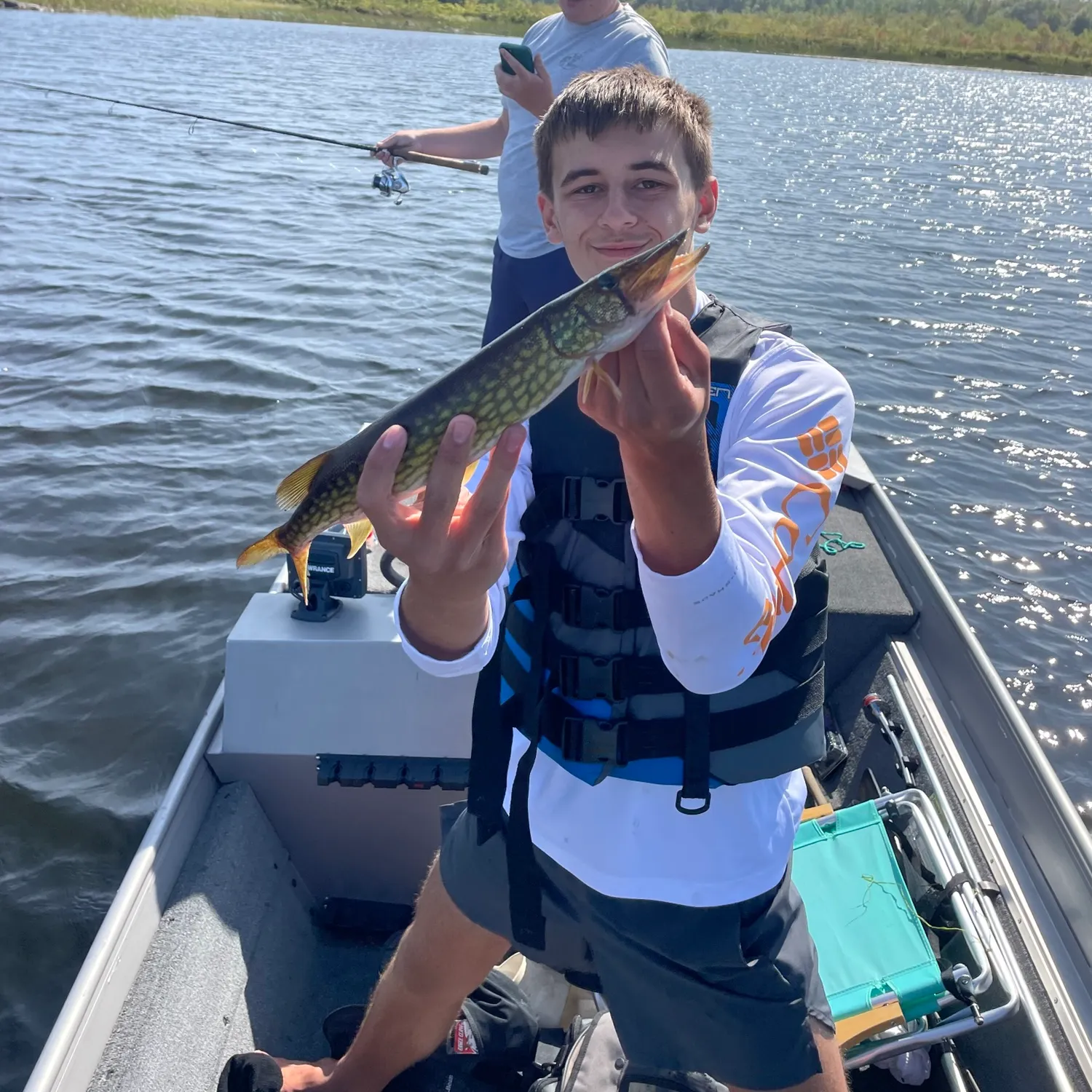 Chain pickerel caught on Fishbrain
