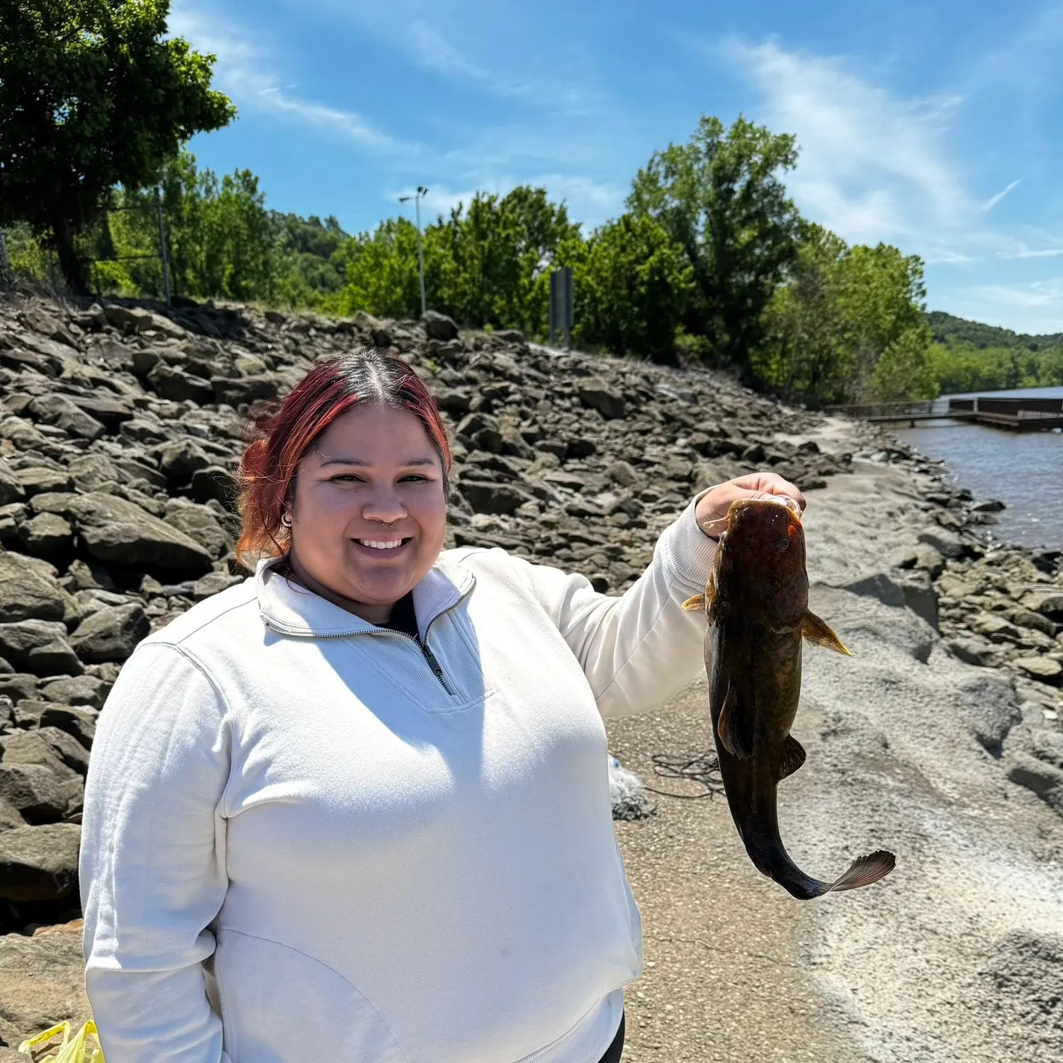 The most recent Flathead catfish catches on Fishbrain