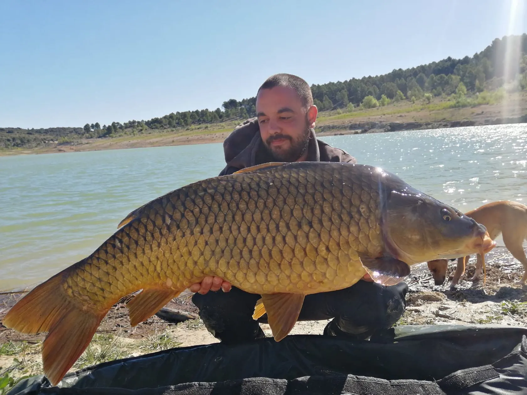 Post image from aperez8411