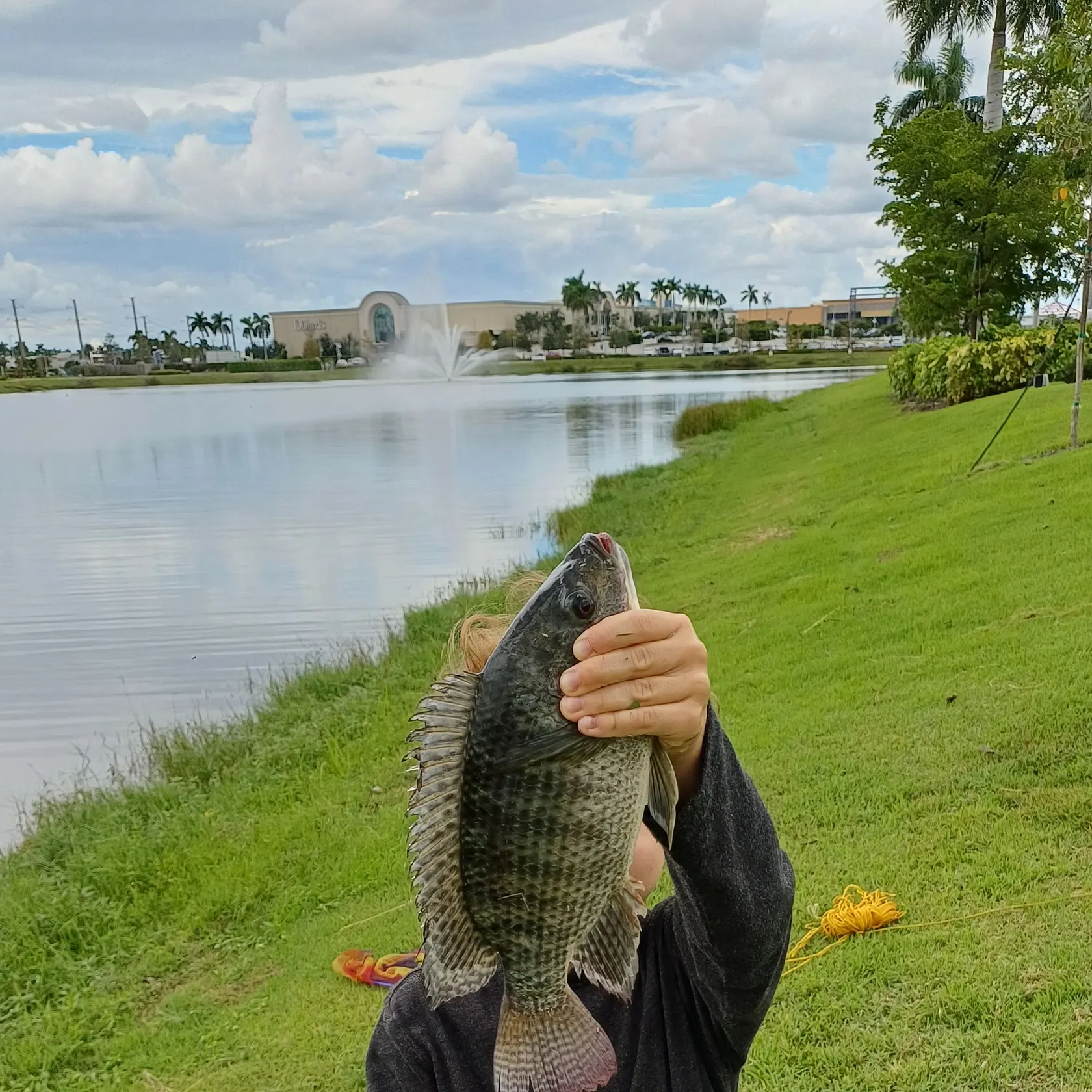 Nile tilapia caught on Fishbrain