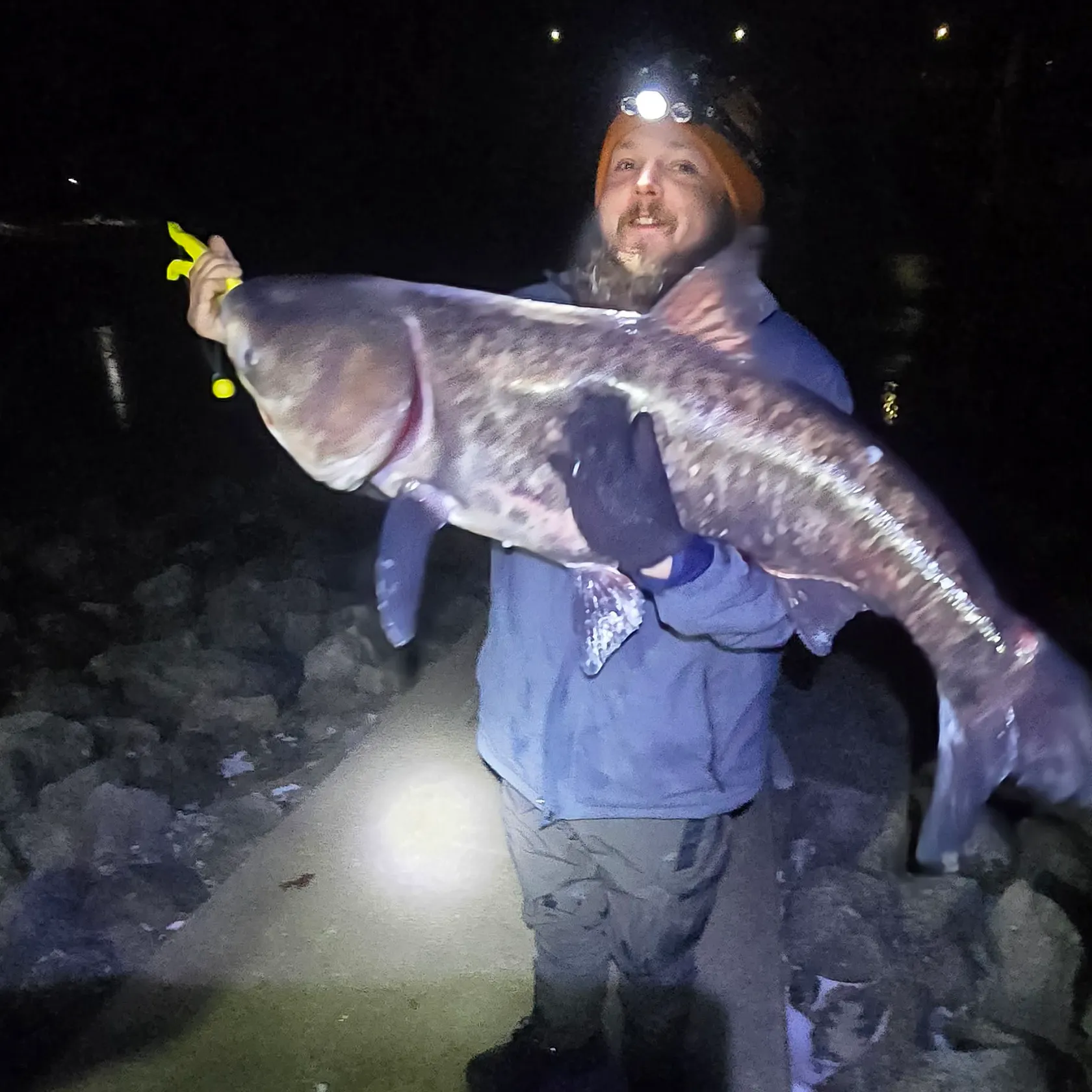 The most recent Bighead carp catches on Fishbrain