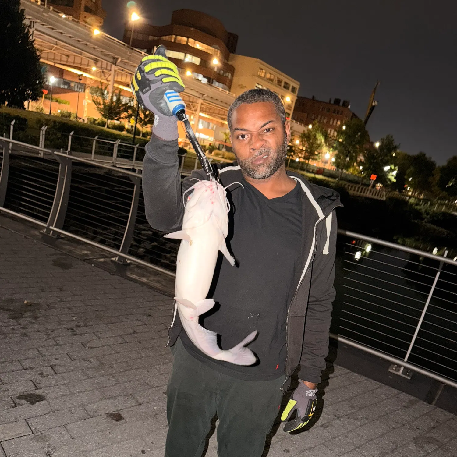 Channel catfish caught on Fishbrain