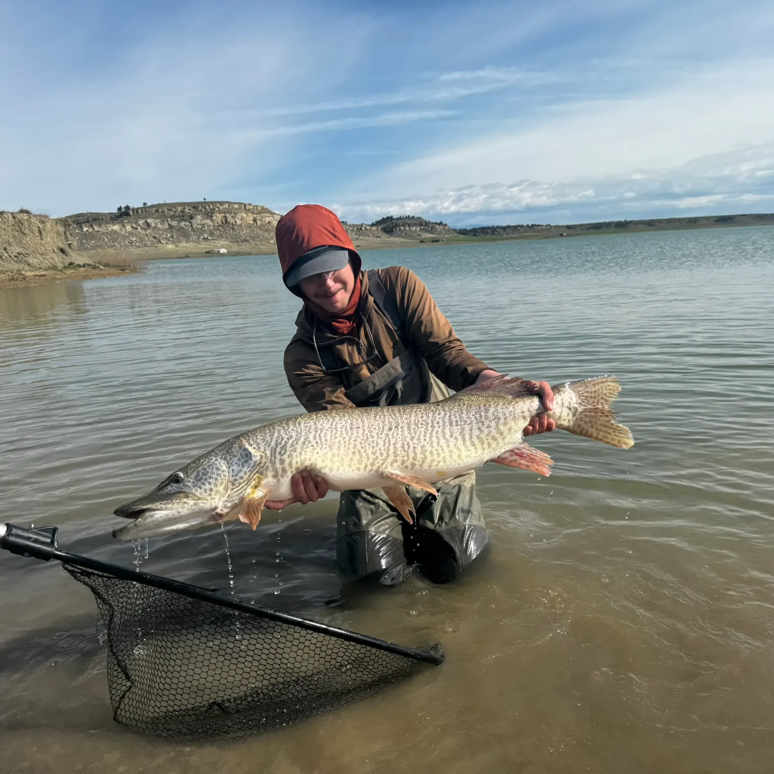 The most recent Tiger muskellunge catches on Fishbrain