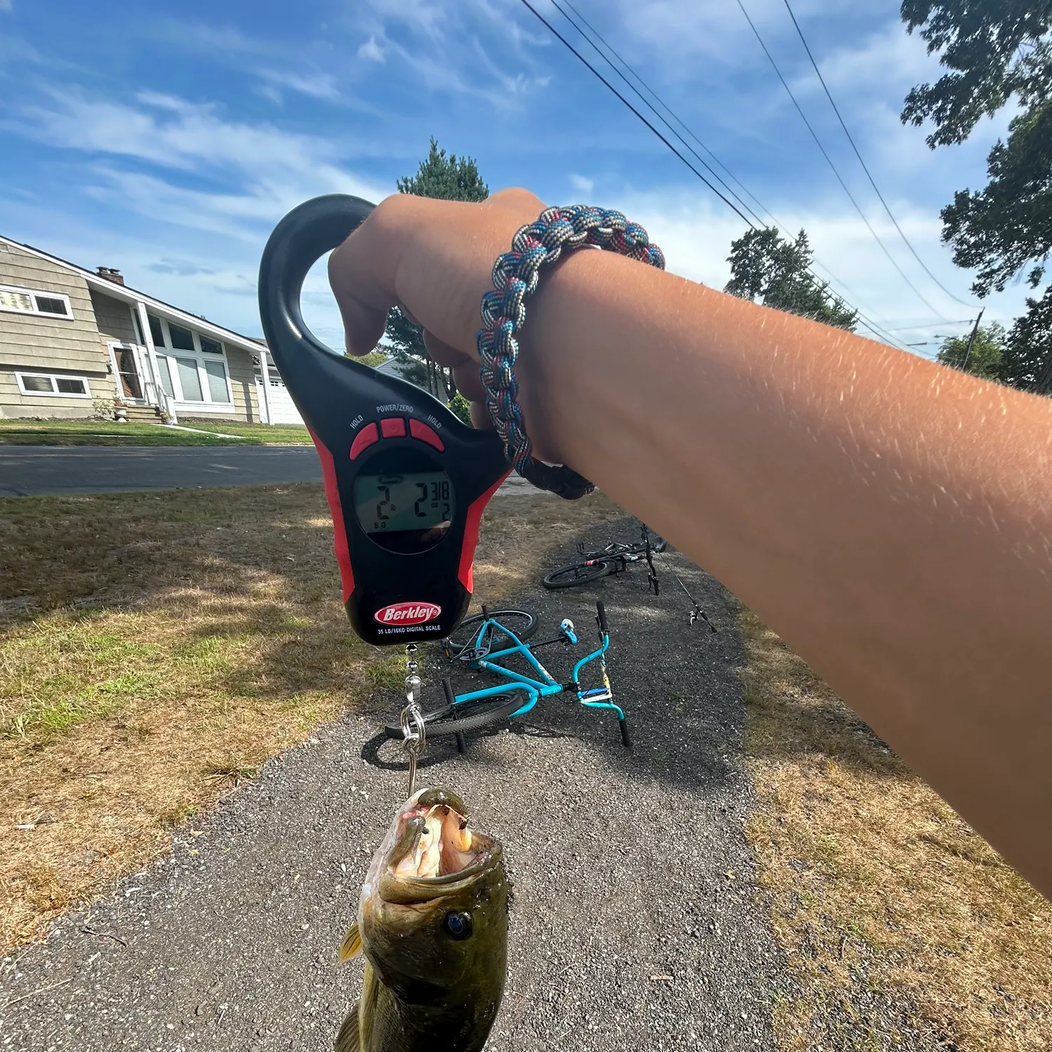 recently logged catches