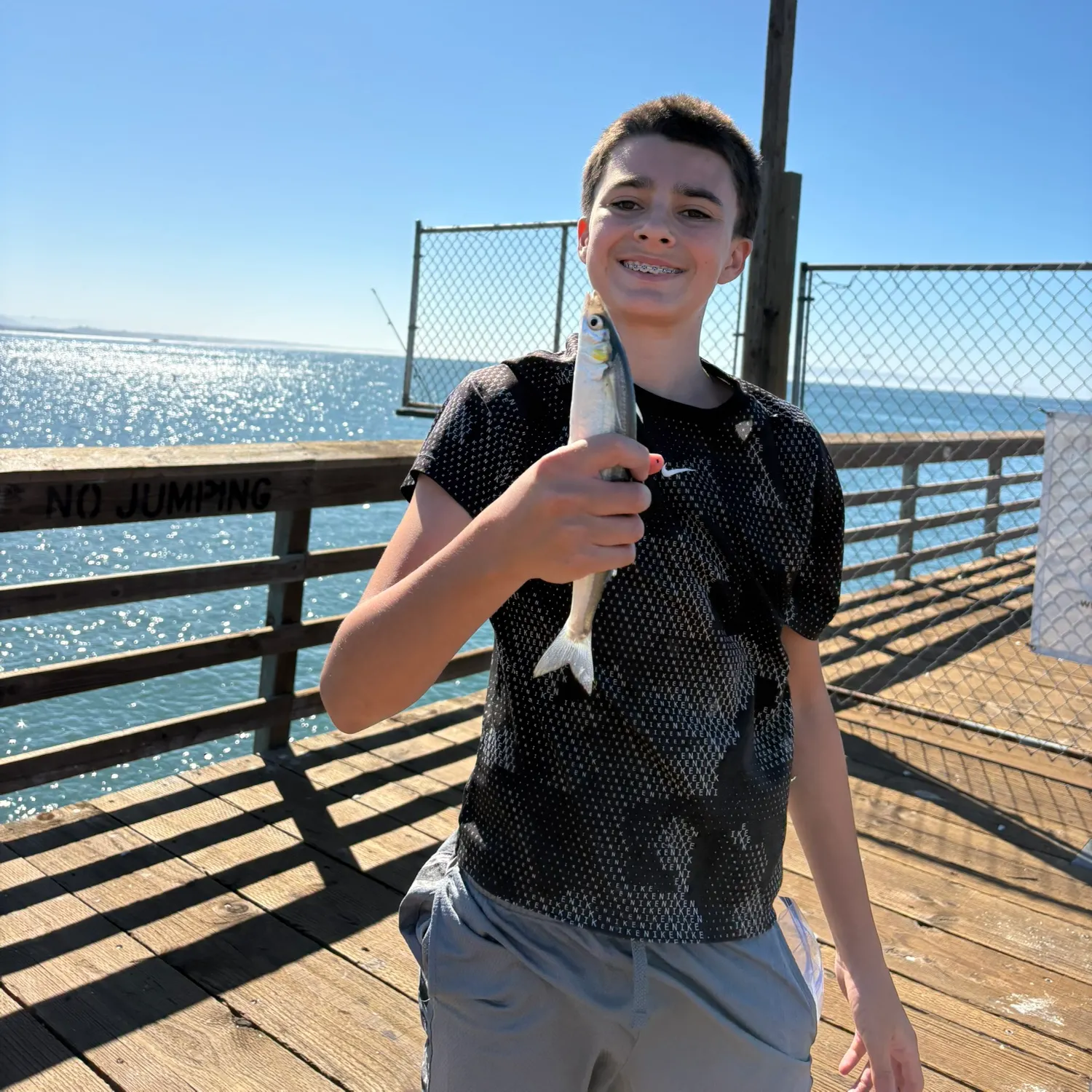 The most recent Jack silverside catches on Fishbrain