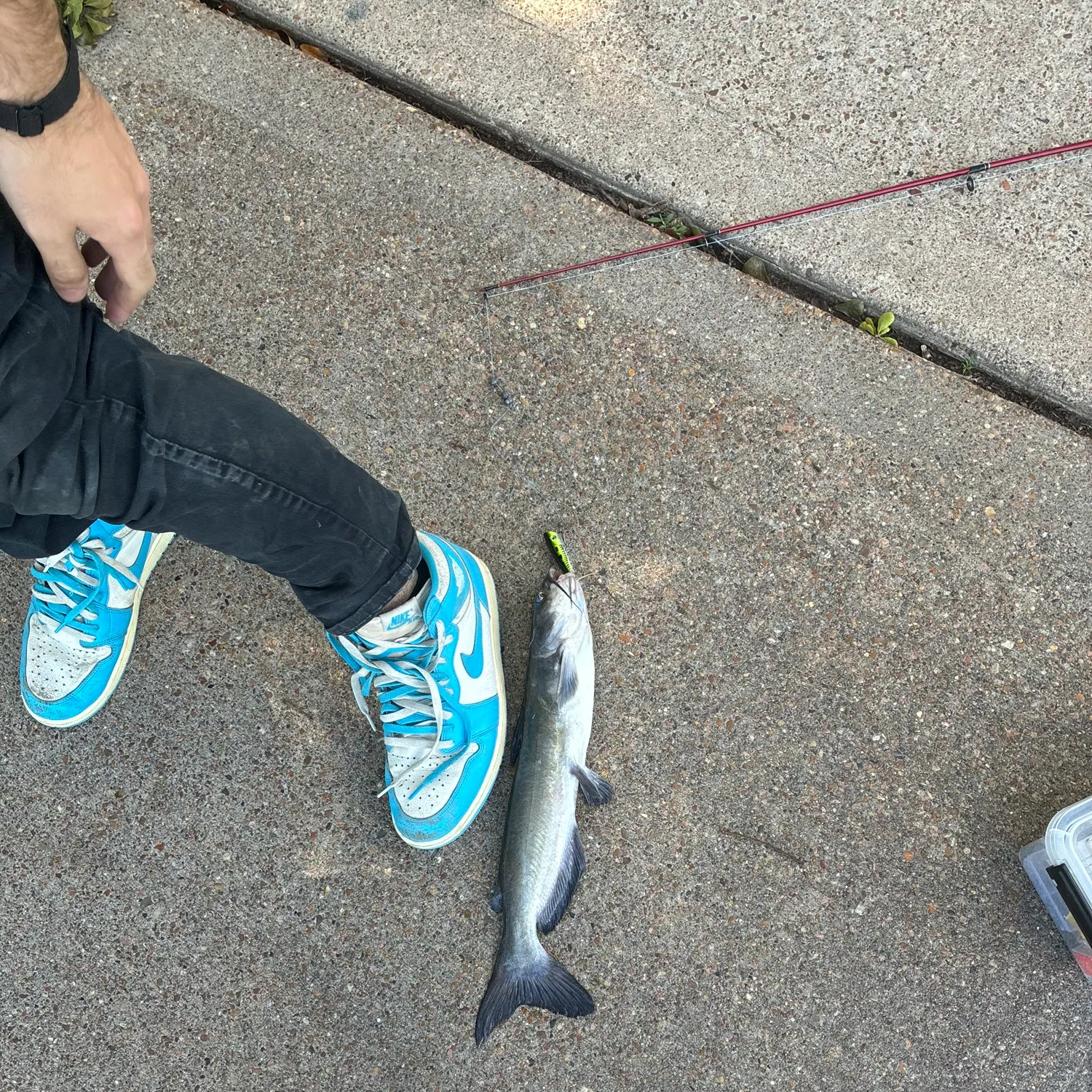 catch