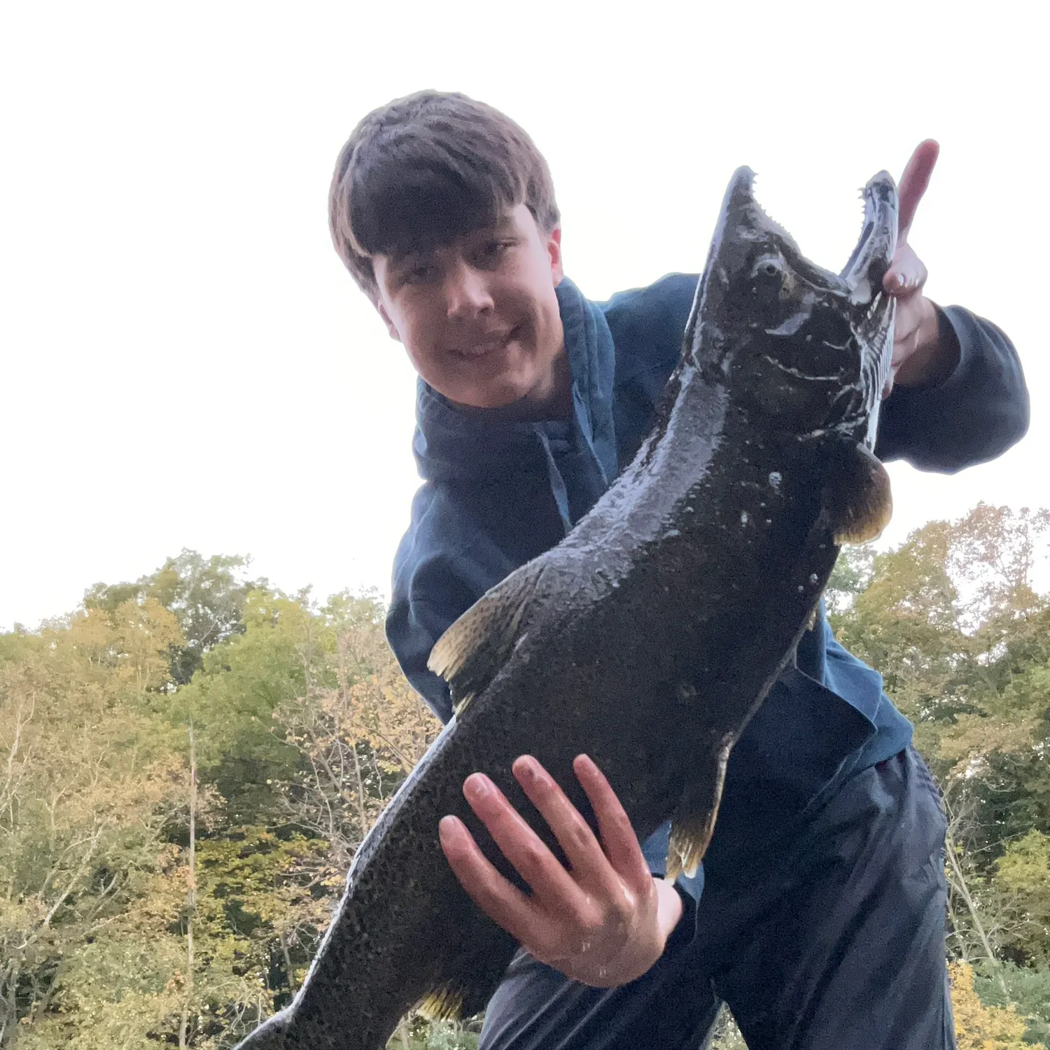Chinook salmon caught on Fishbrain