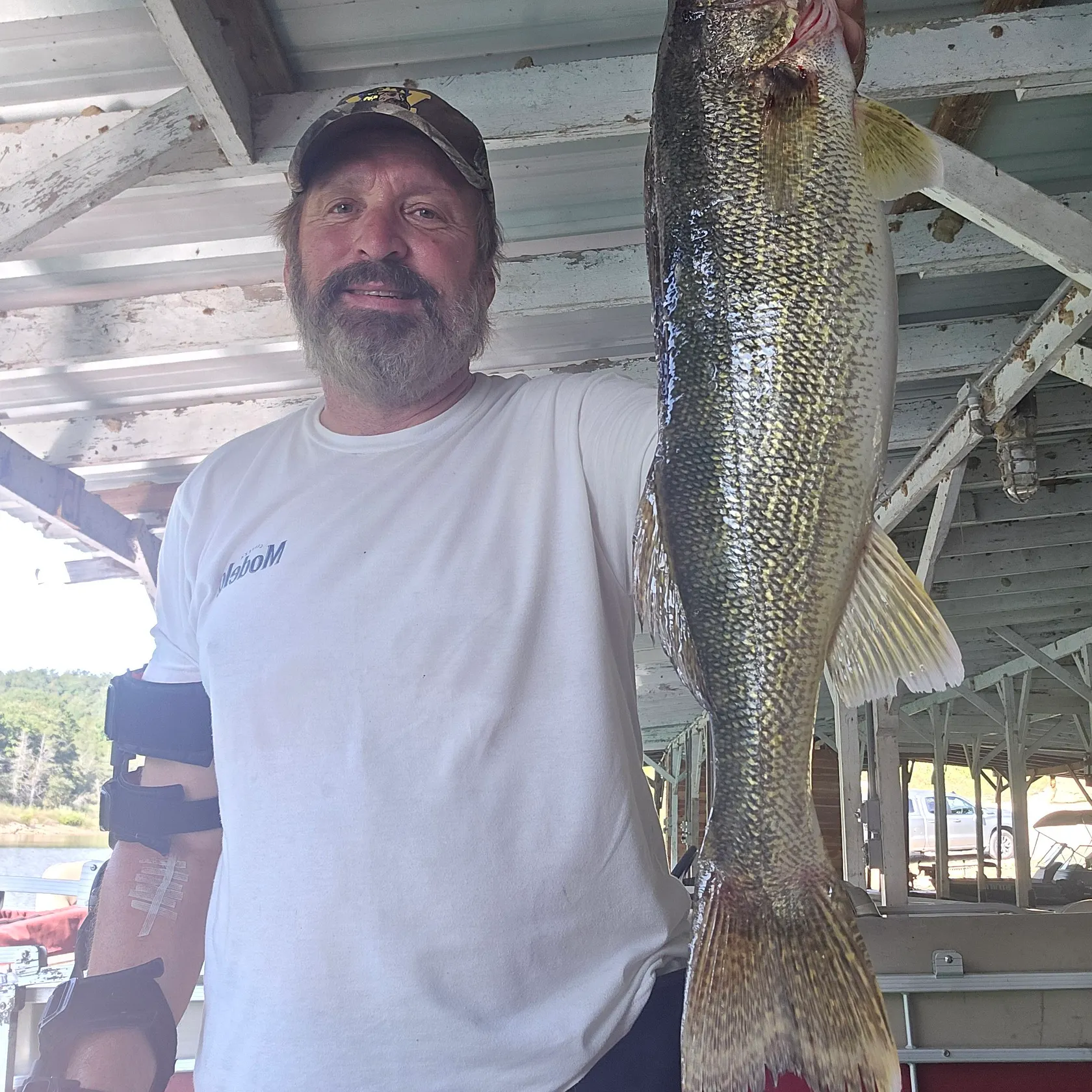 Walleye caught on Fishbrain