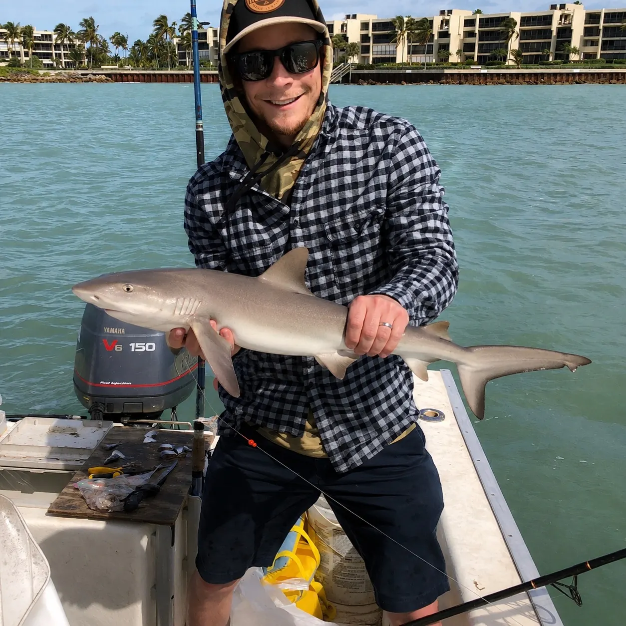 The most recent Nurse shark catches on Fishbrain