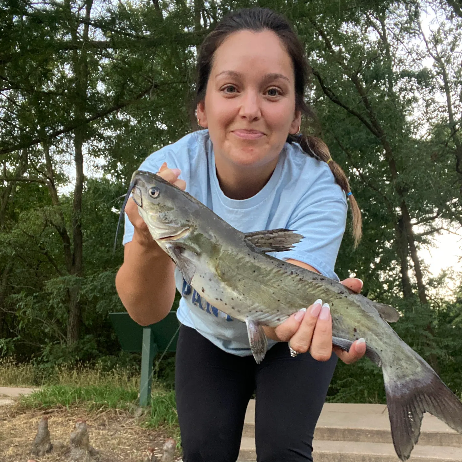 Channel catfish caught on Fishbrain