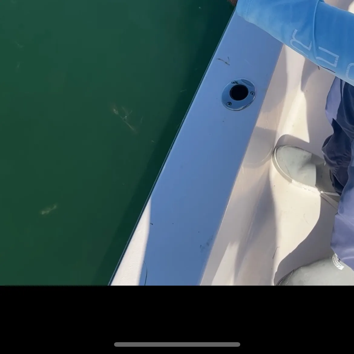 The most recent Spotted green pufferfish catches on Fishbrain