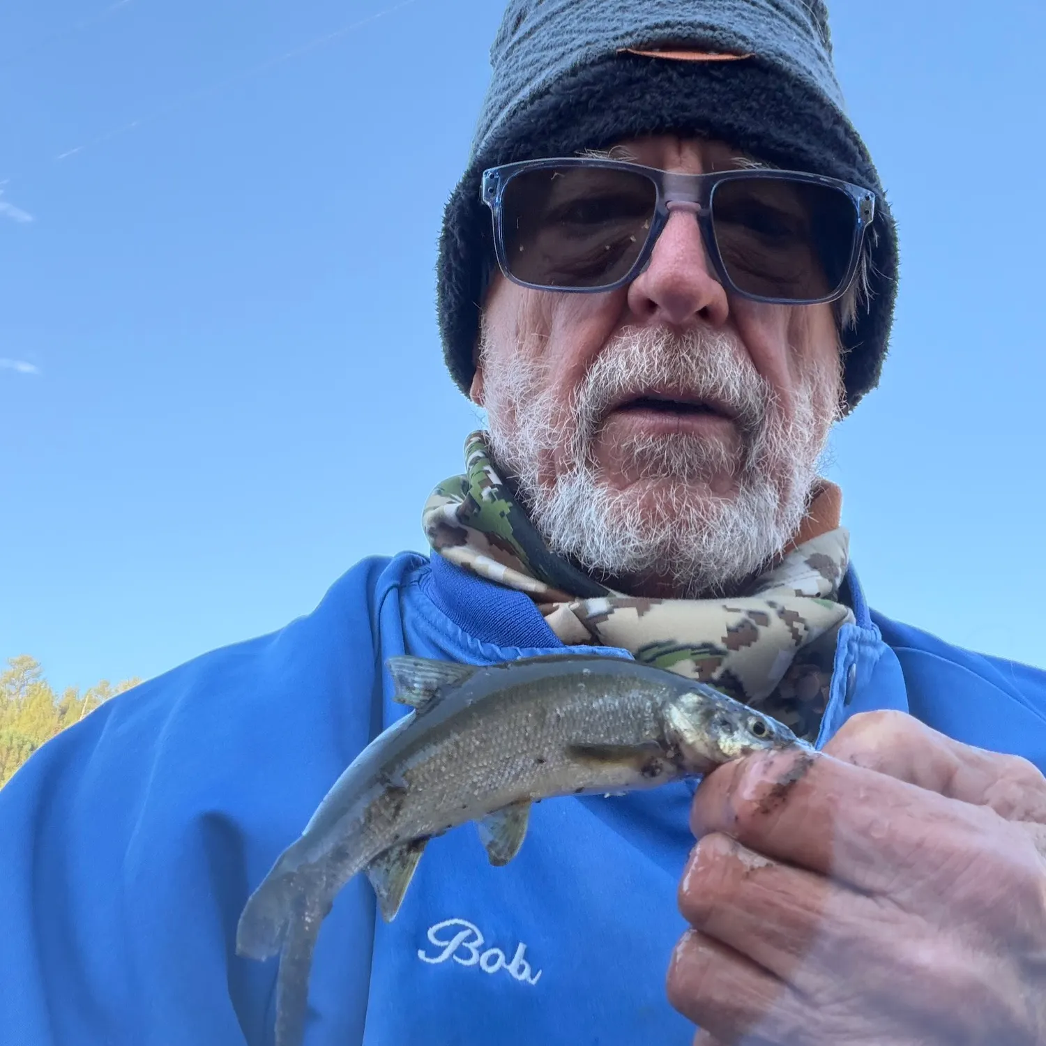 Mountain whitefish caught on Fishbrain