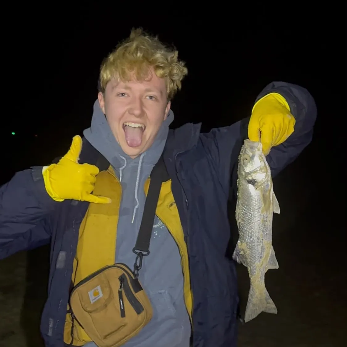 European seabass caught on Fishbrain
