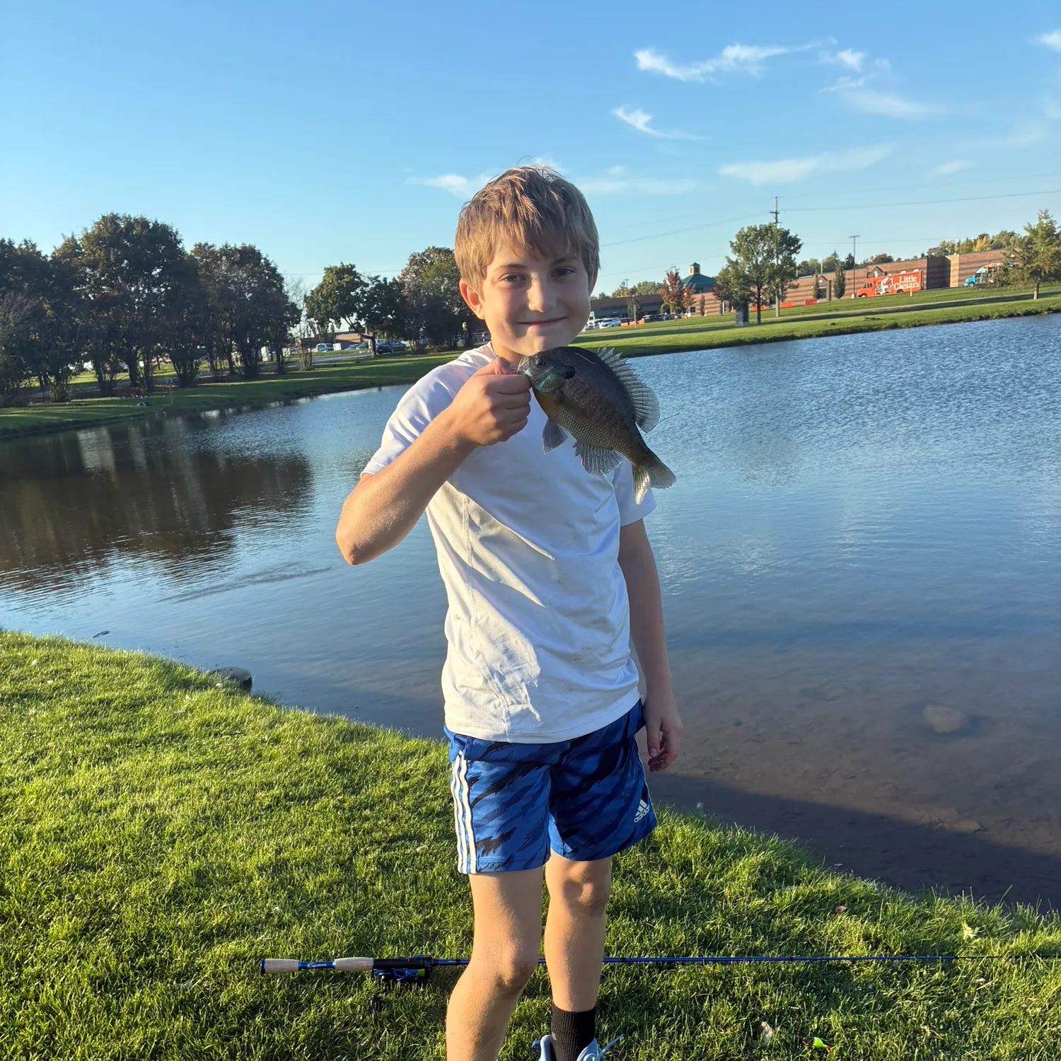 Bluegill caught on Fishbrain