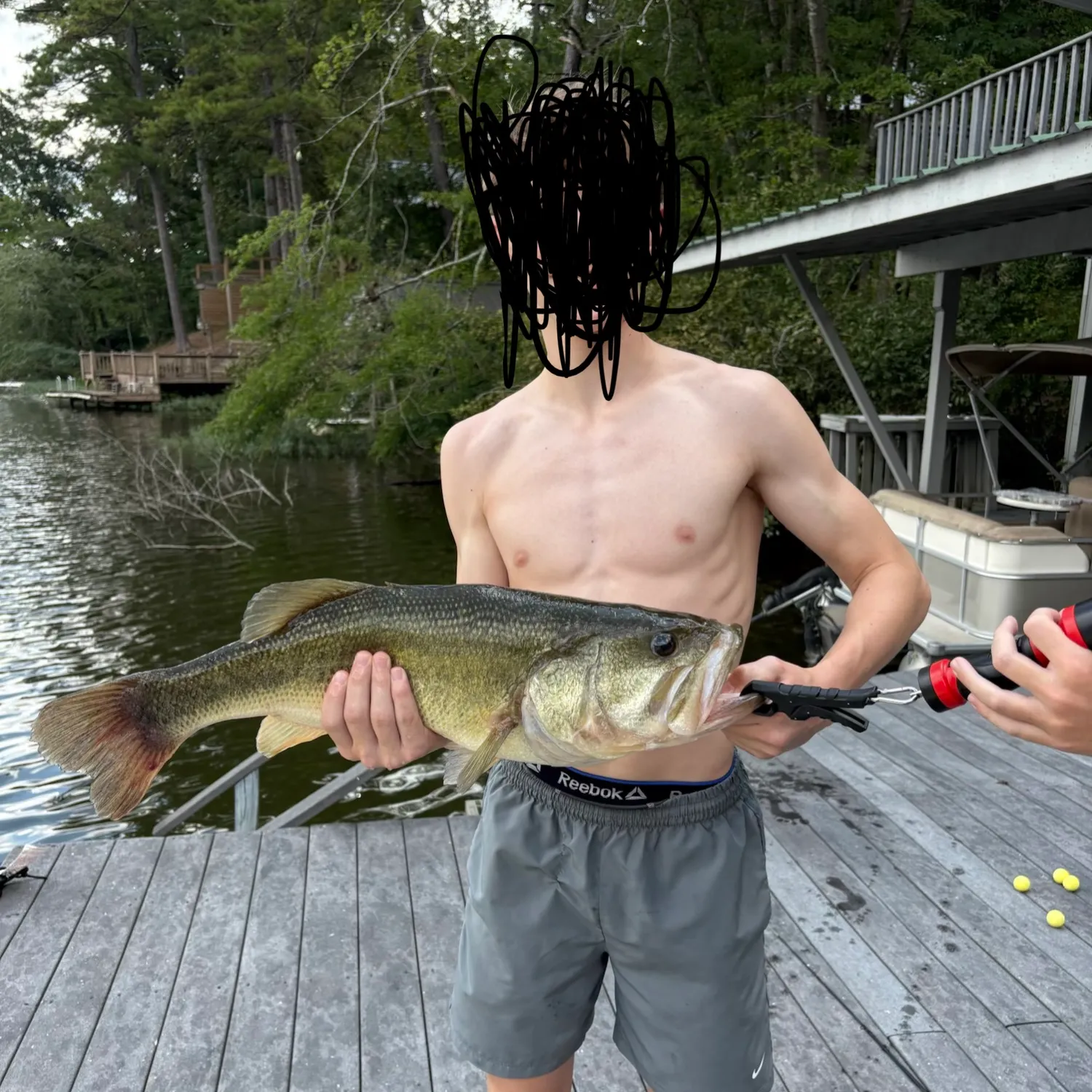 Largemouth bass caught on Fishbrain
