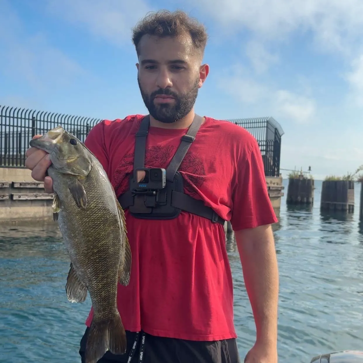 Smallmouth bass caught on Fishbrain