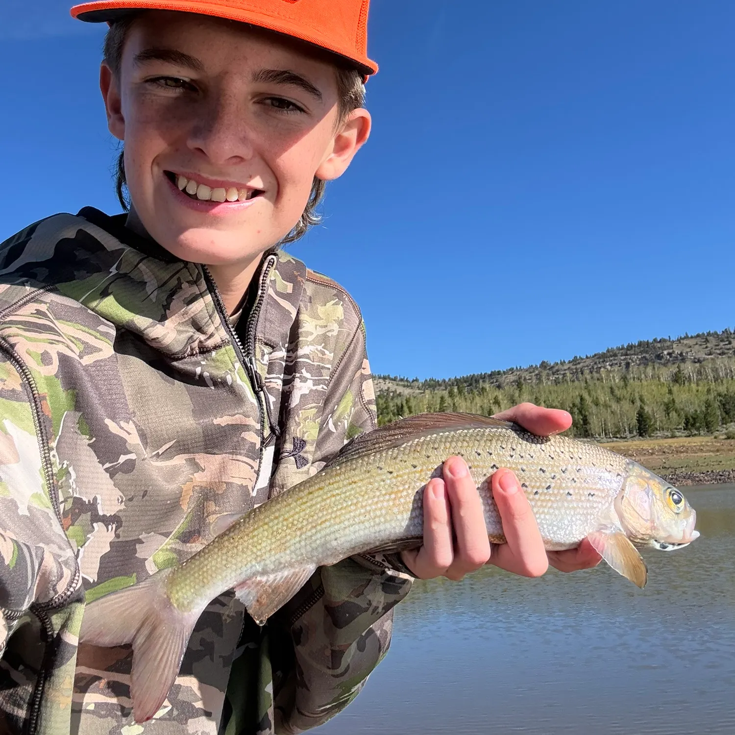 Arctic grayling caught on Fishbrain