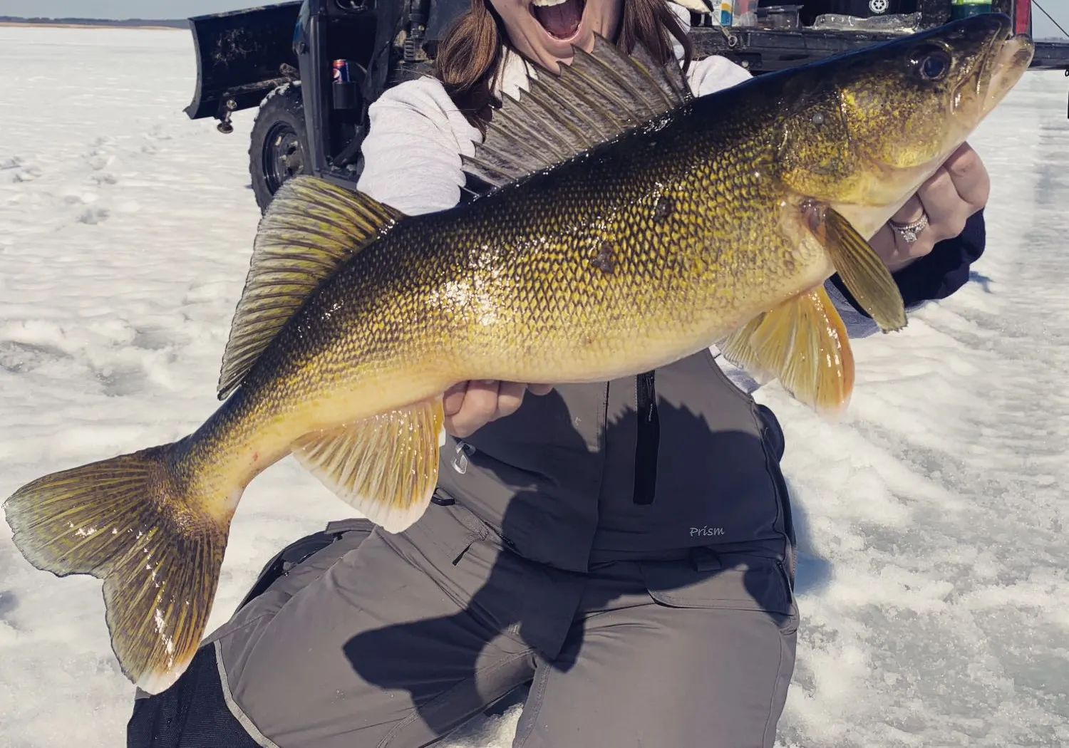 Walleye