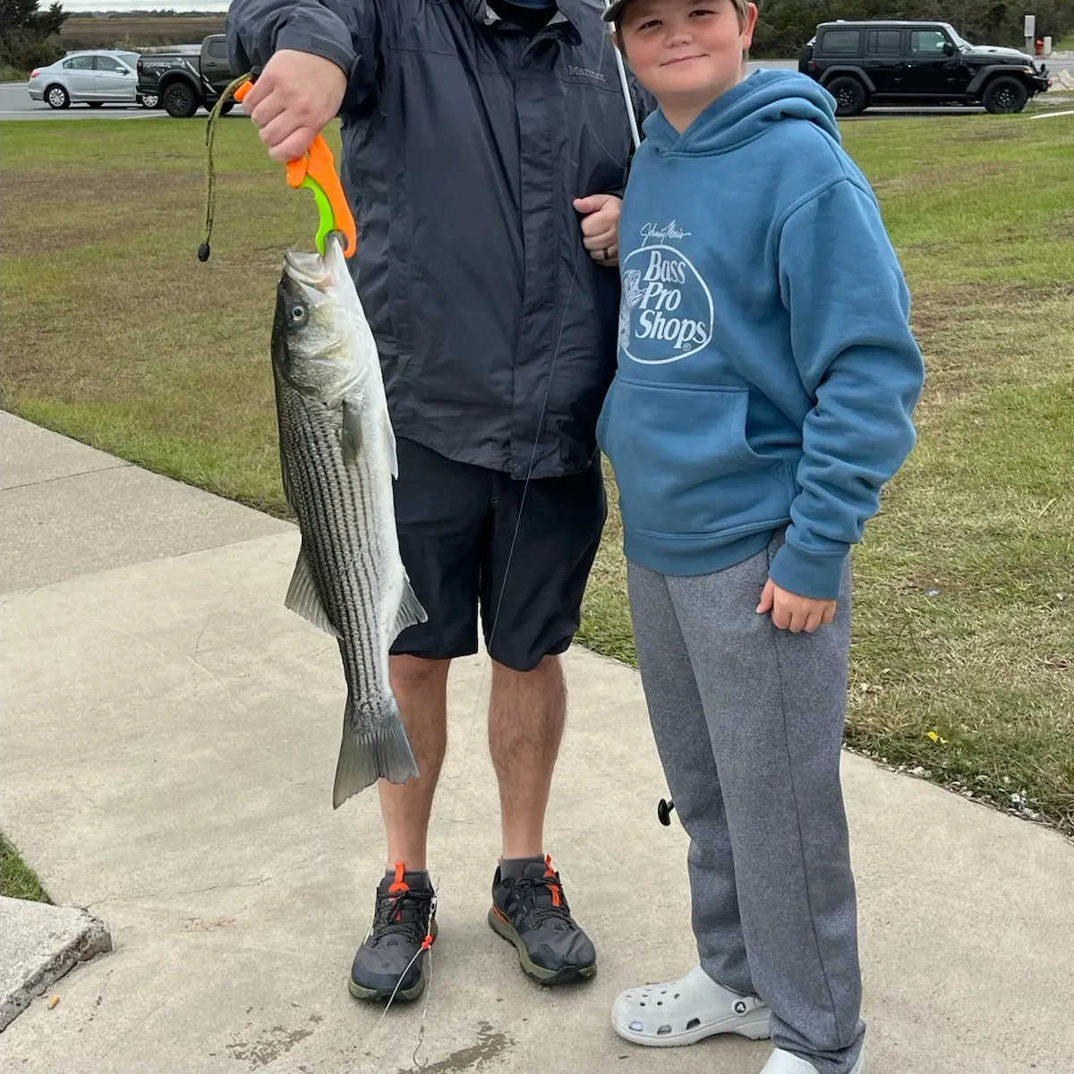 Striped bass caught on Fishbrain