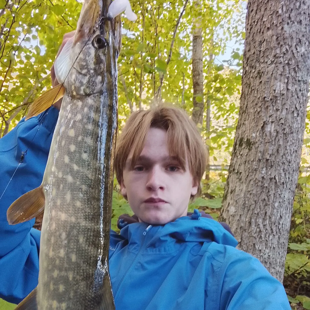 Northern pike caught on Fishbrain