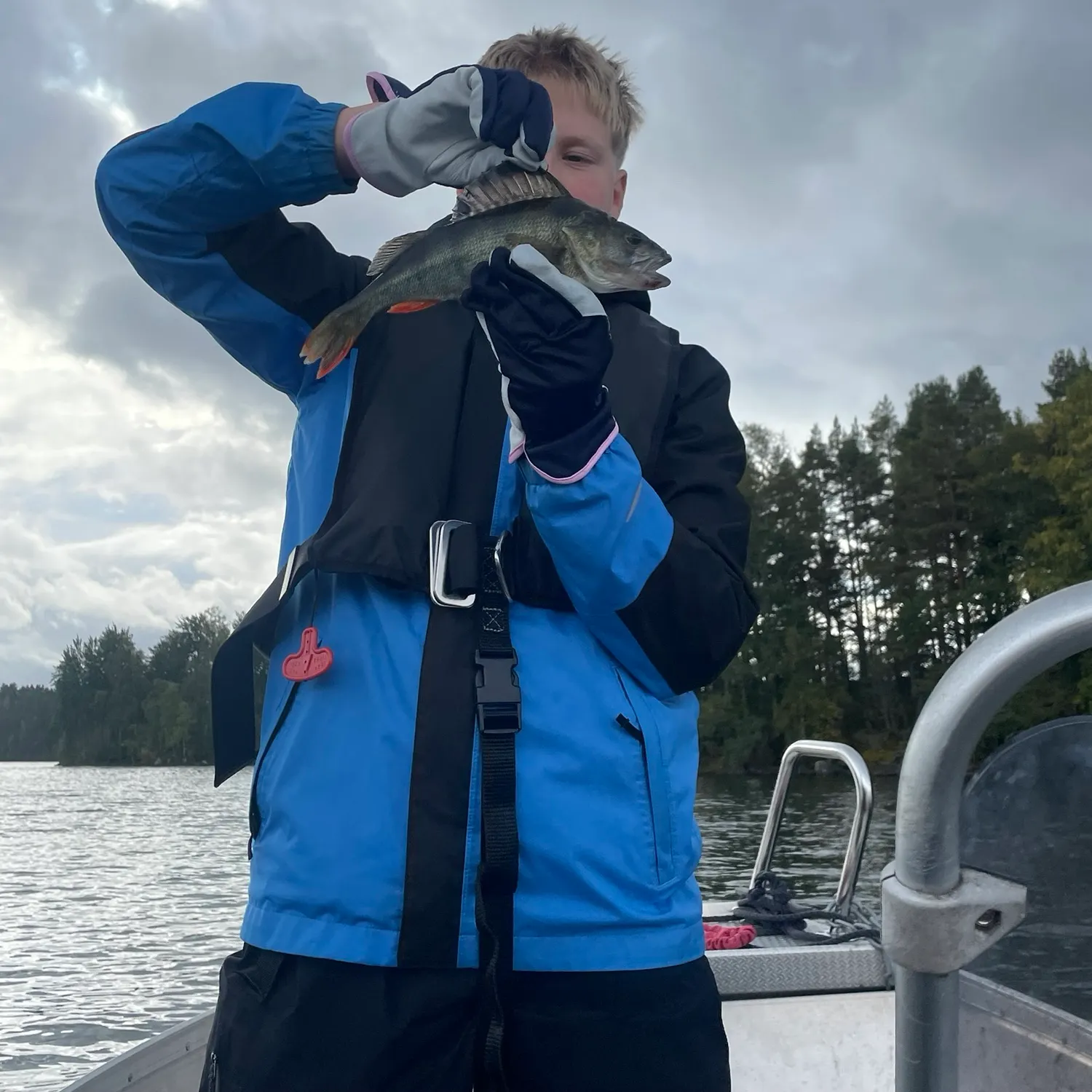European perch caught on Fishbrain