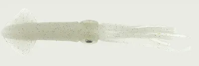 Live Squid