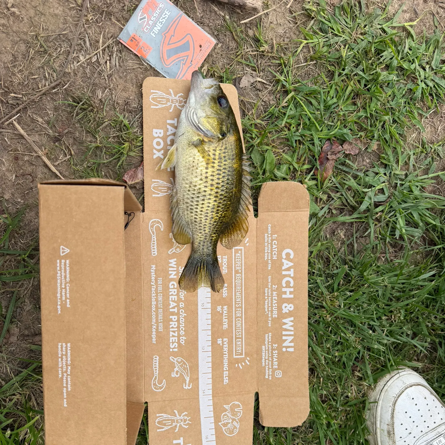catch