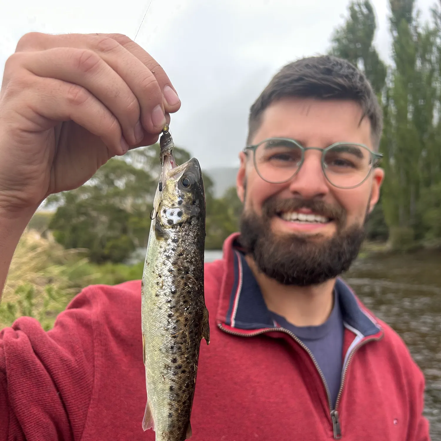 The most recent Brown trout catches on Fishbrain